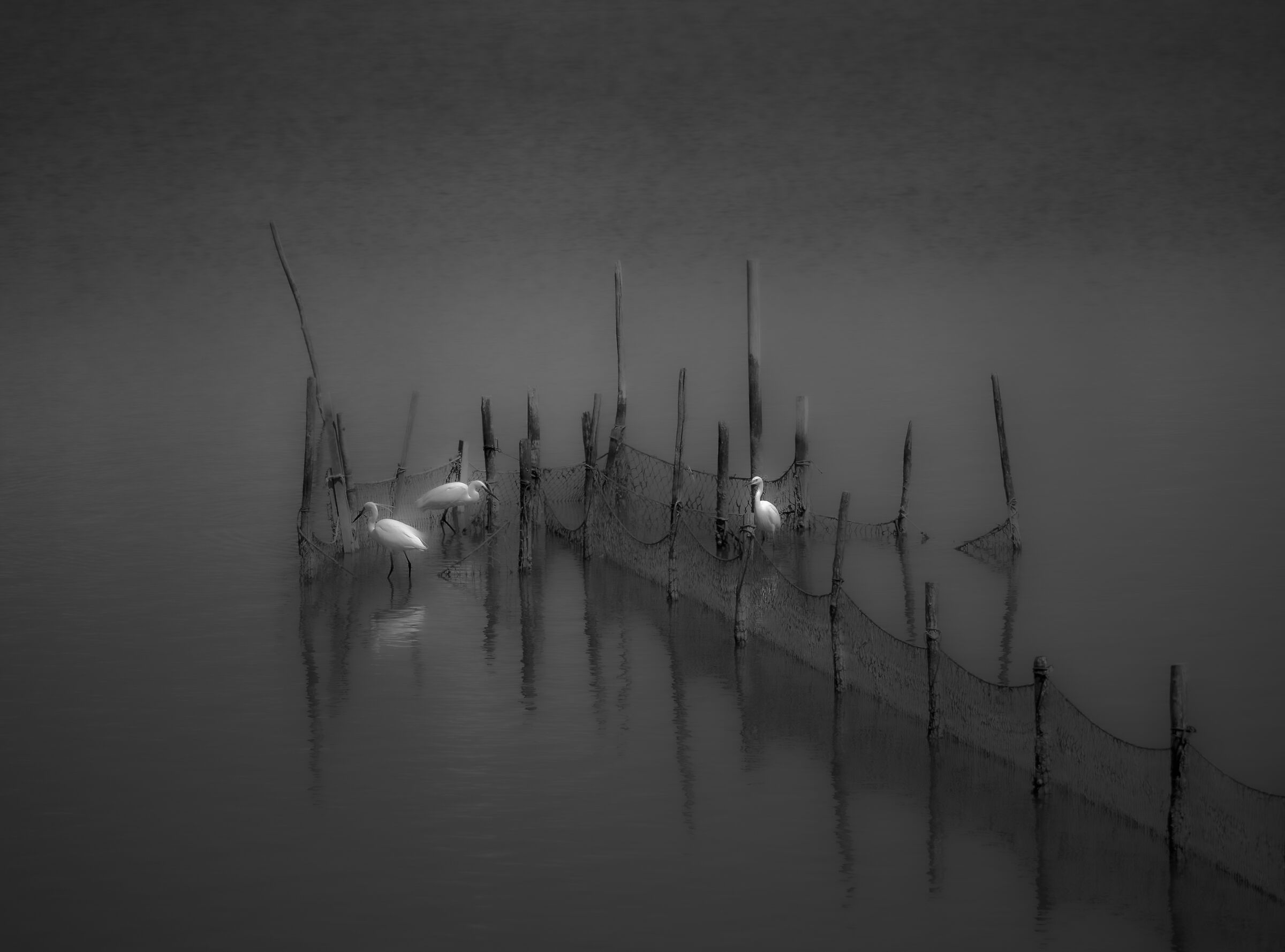 Atmospheres... Po delta.