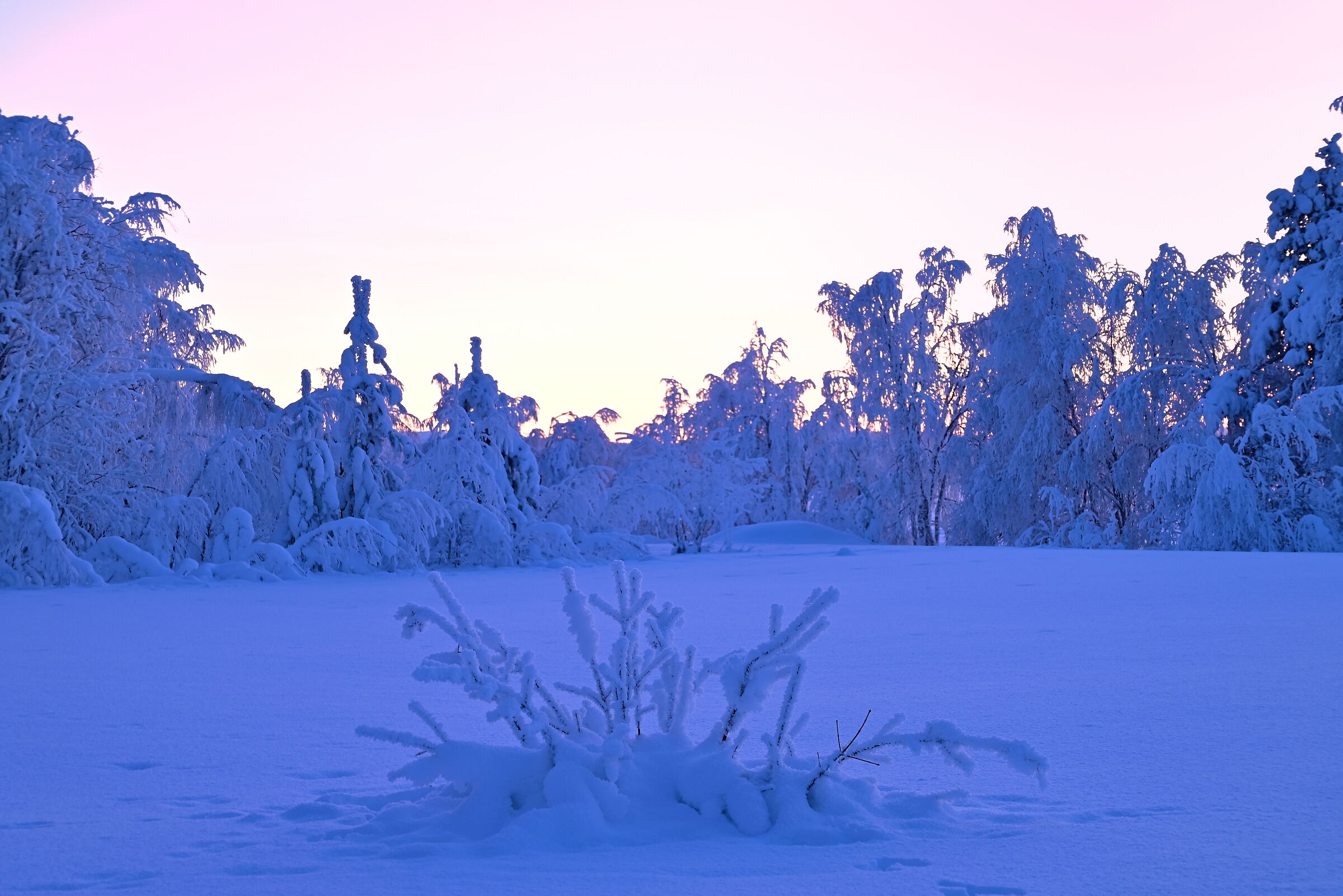 Keimioniemi
