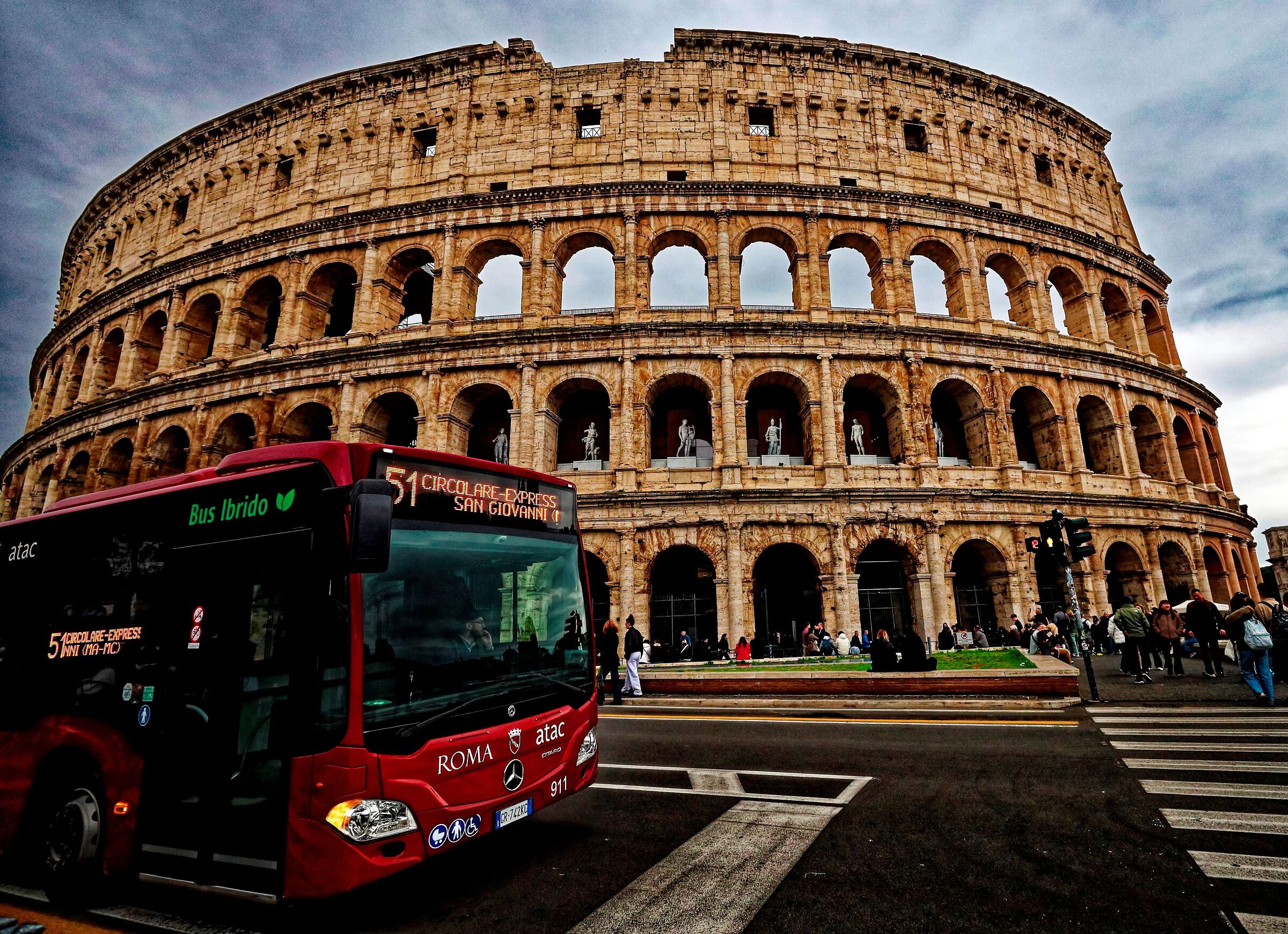 Bus 51
