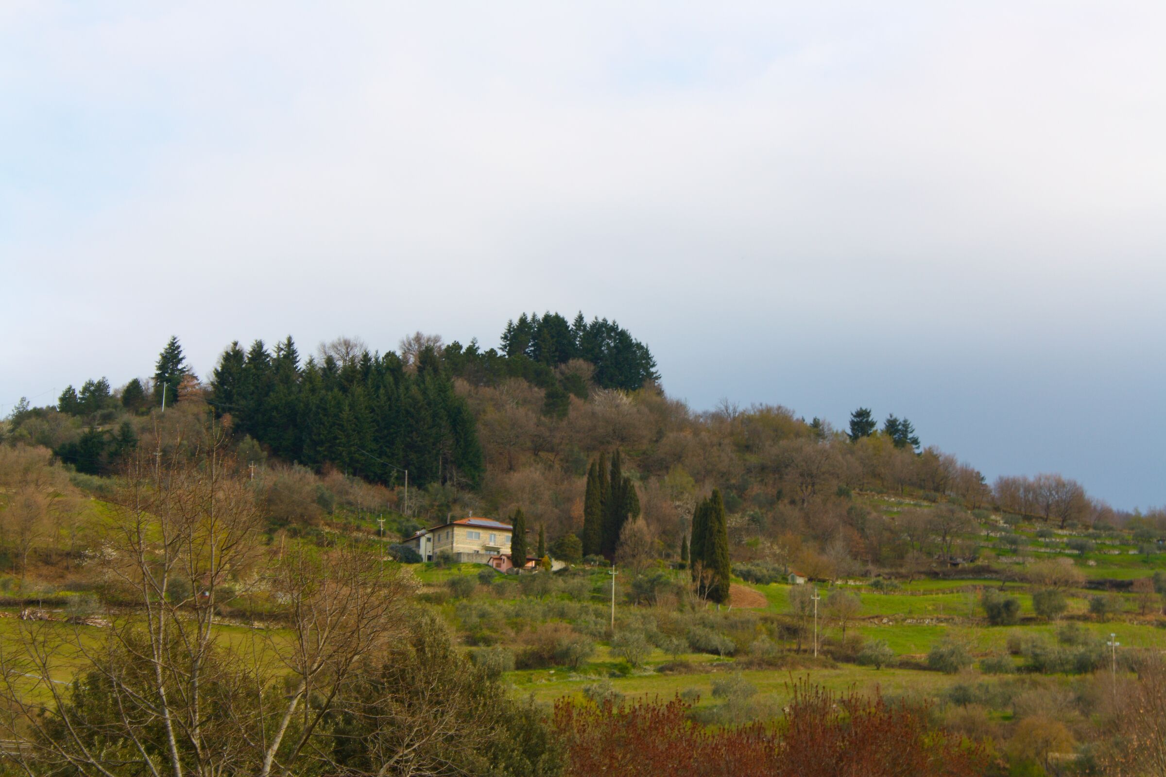 Panorama
