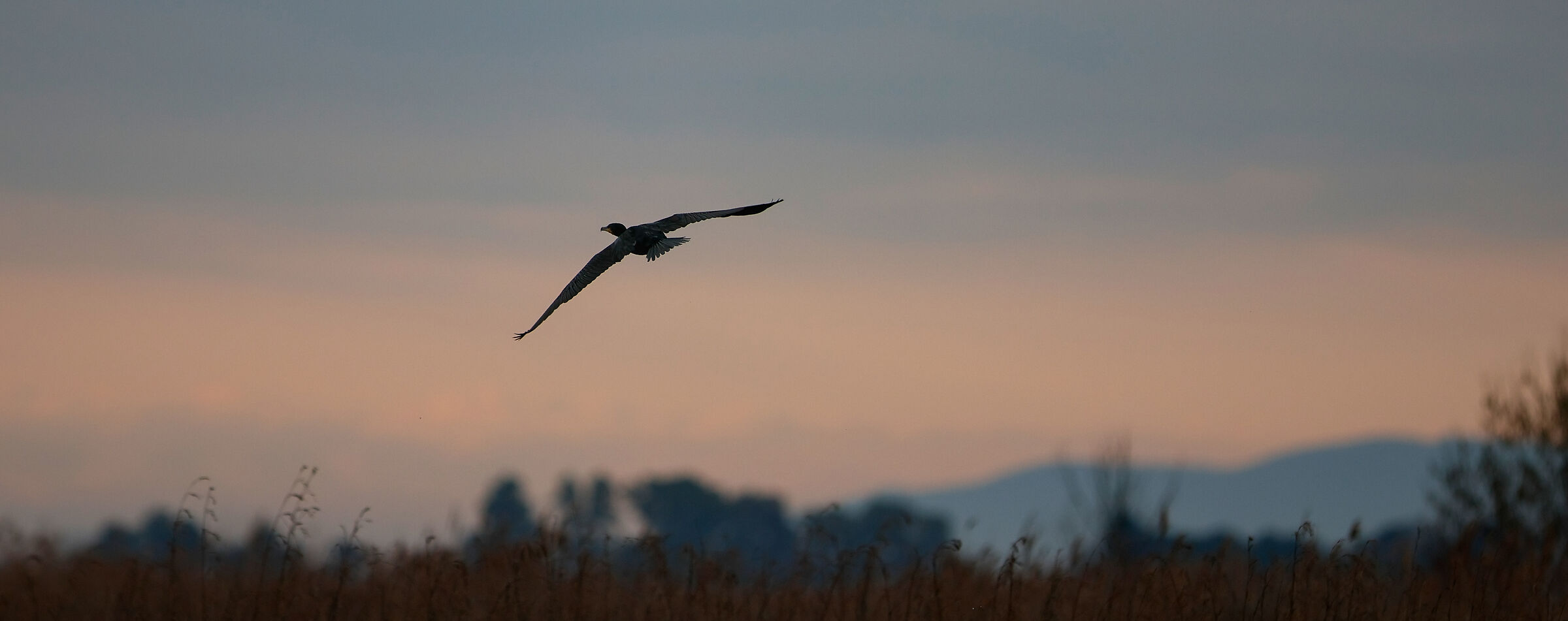 Sunrise in Massaciuccoli