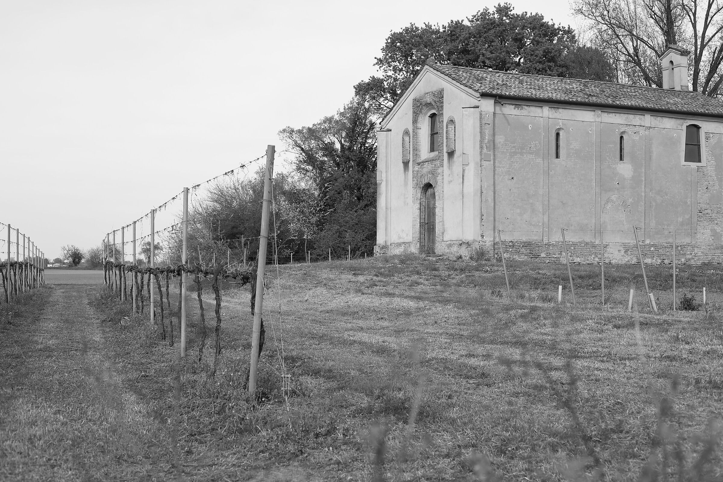 nella vigna del Signore