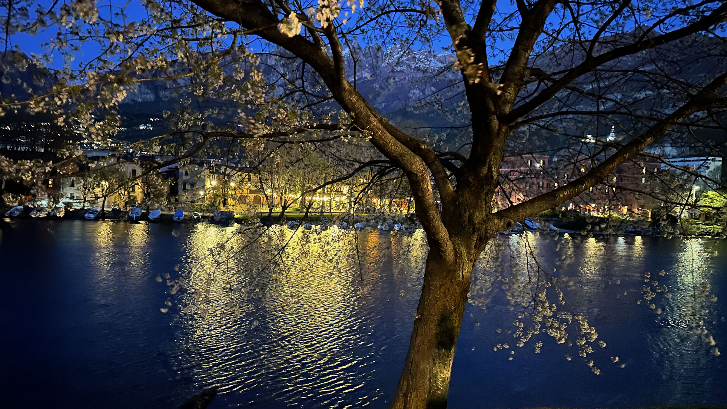 Pescarenico, spring evening with tree in bloom