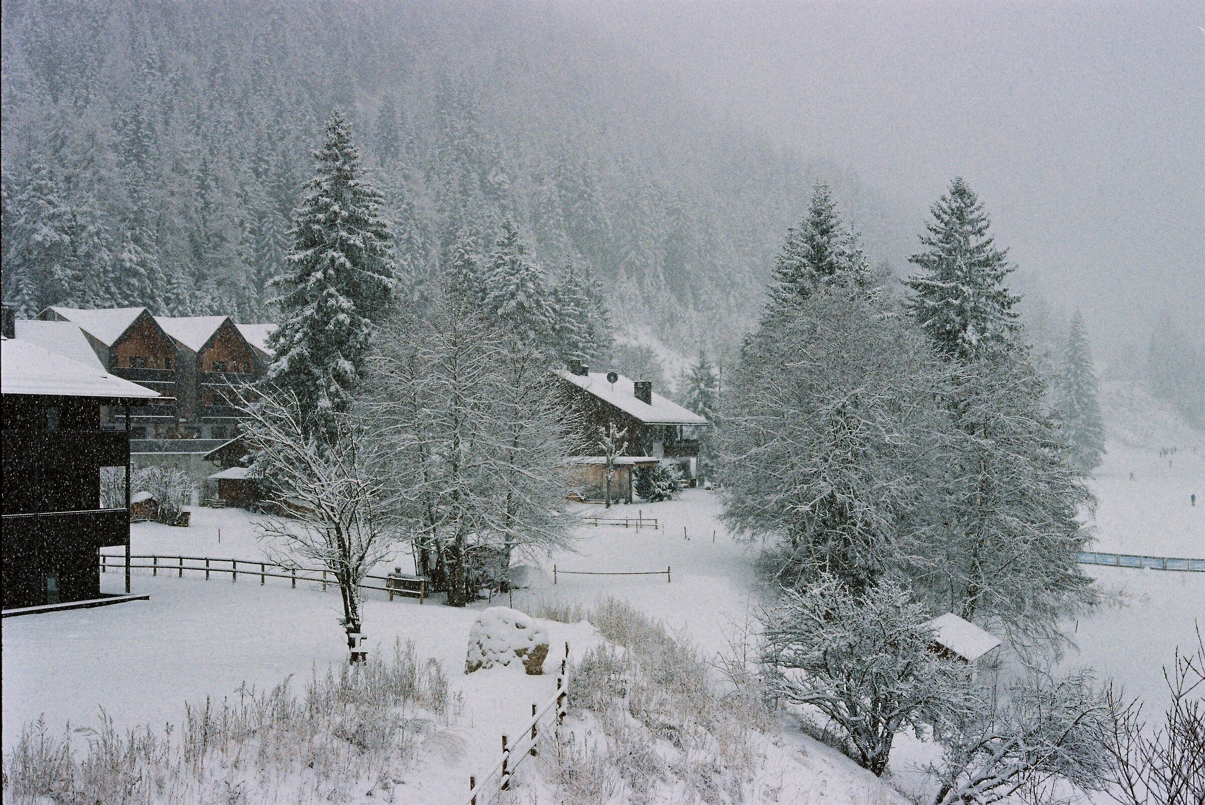 Dobbiaco, January 2026