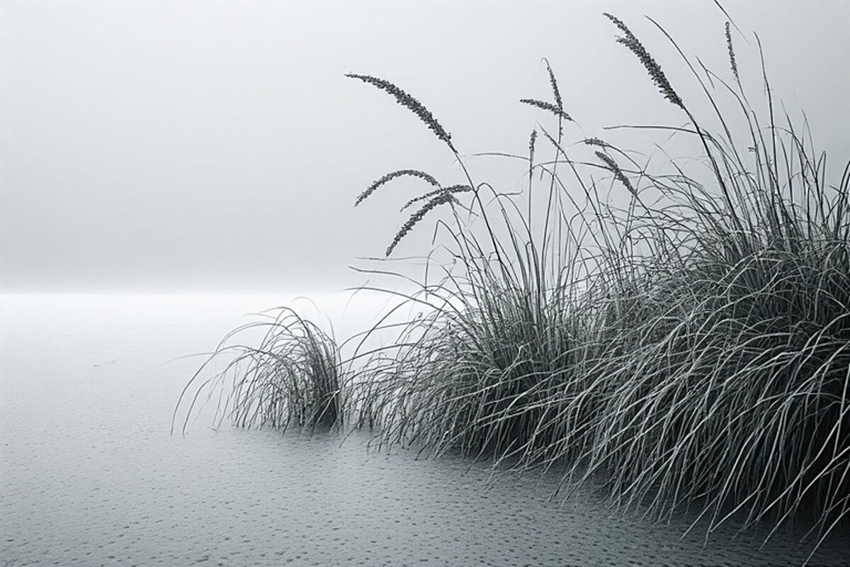 Untitled Photo