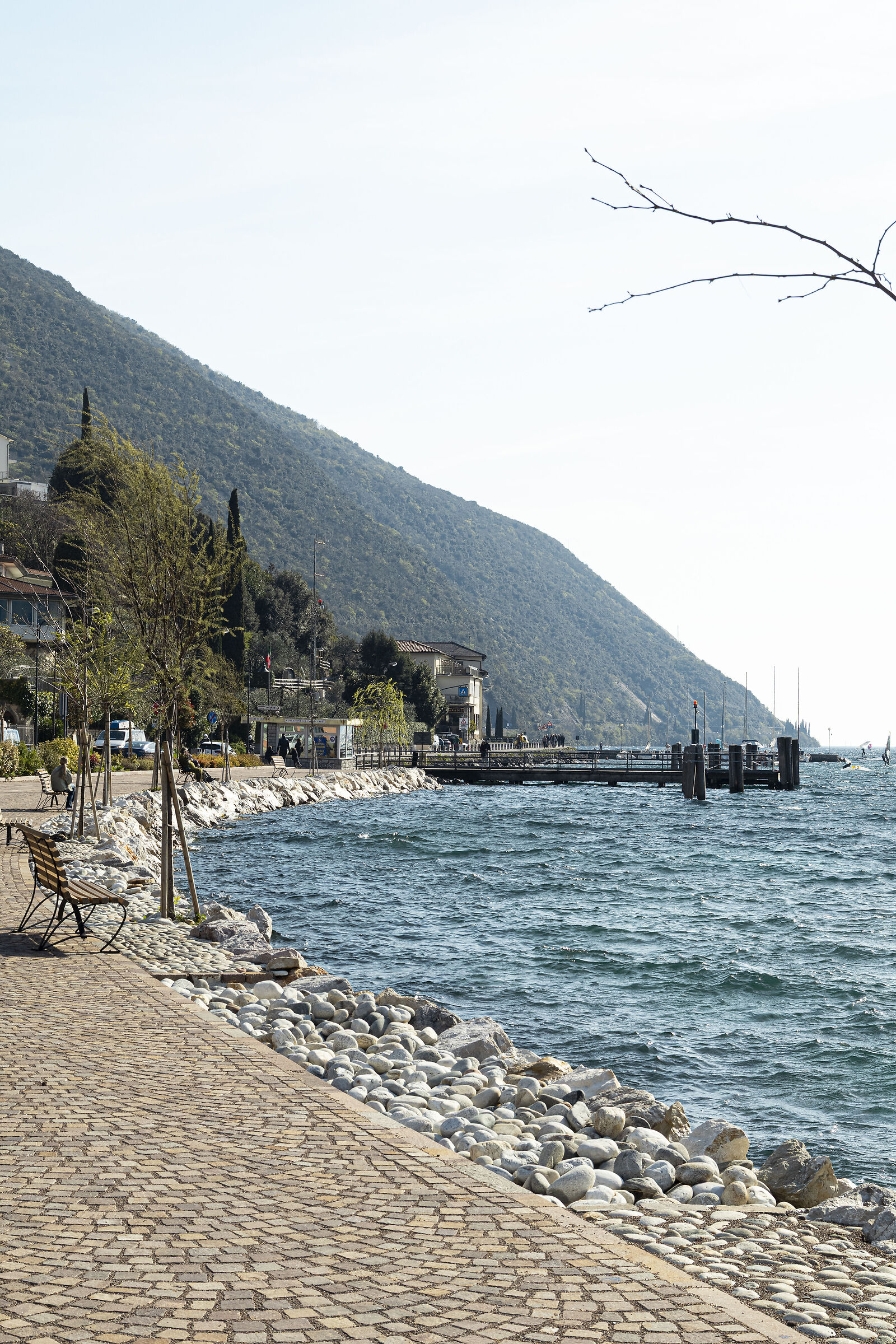 Glimpse along the lake