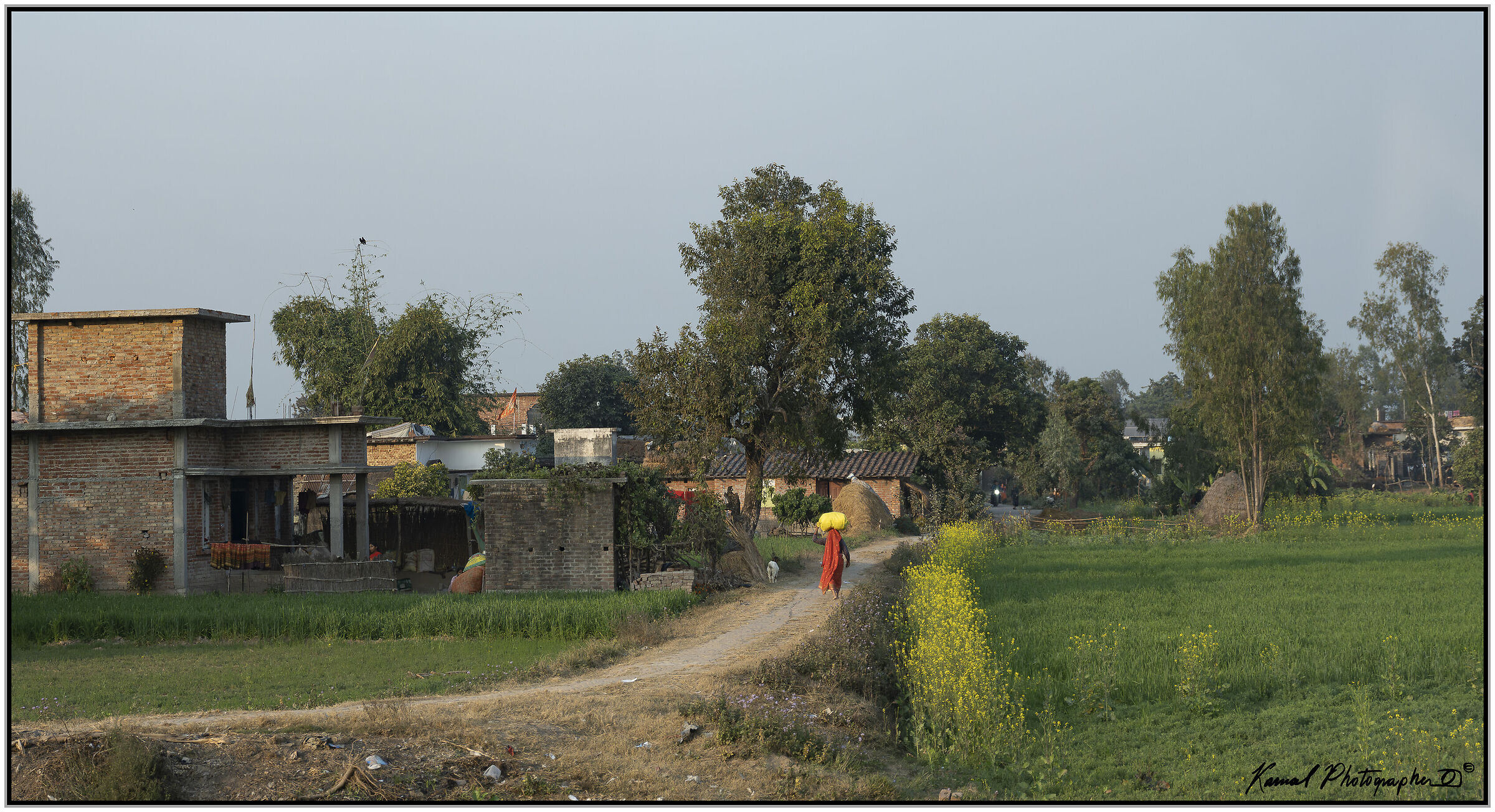 Rural areas India