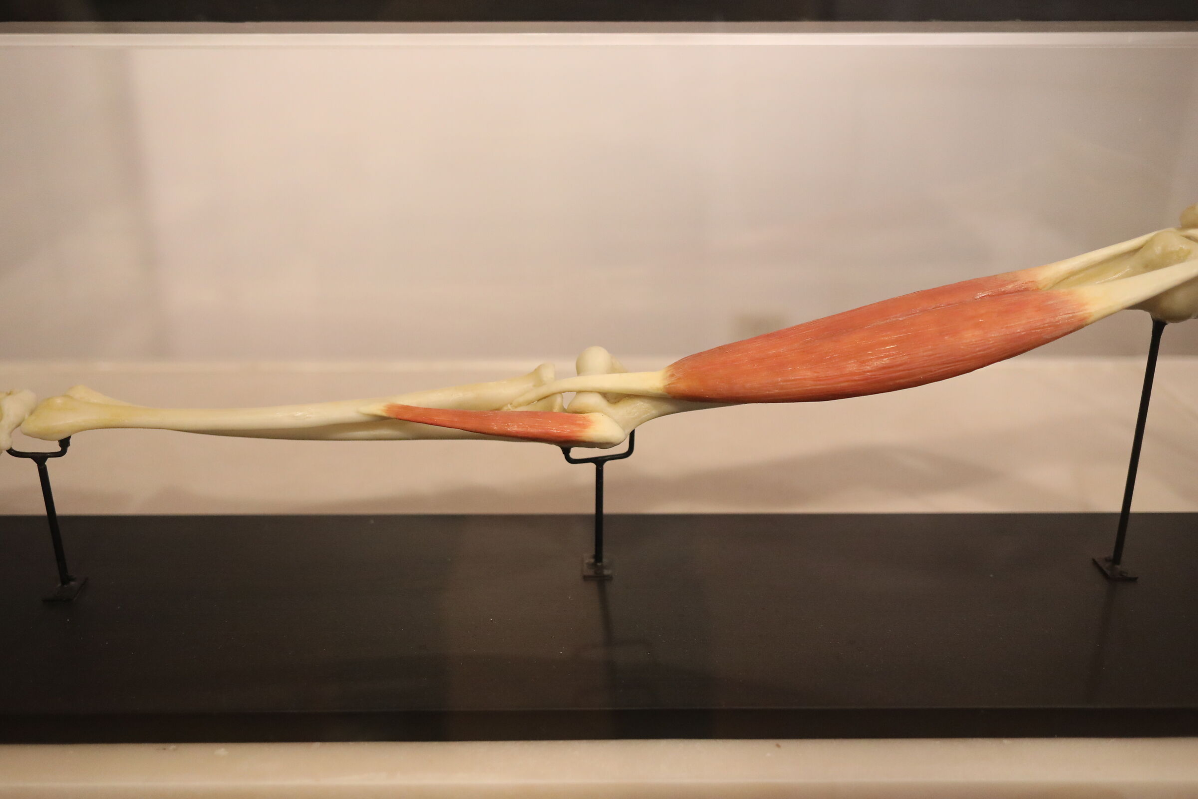 @" ISO 6 Thousand 400 " Canon 5 D IV, 35 F.2 IS Usm