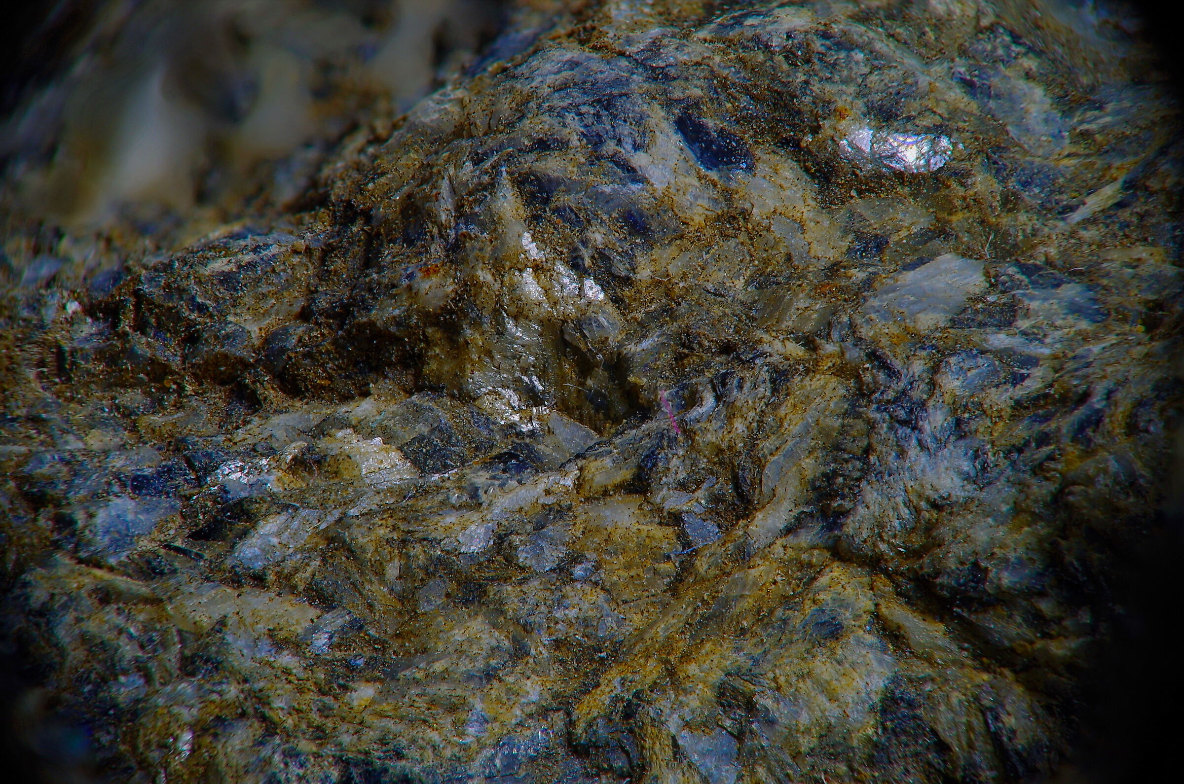 Fragment of igneous rock
