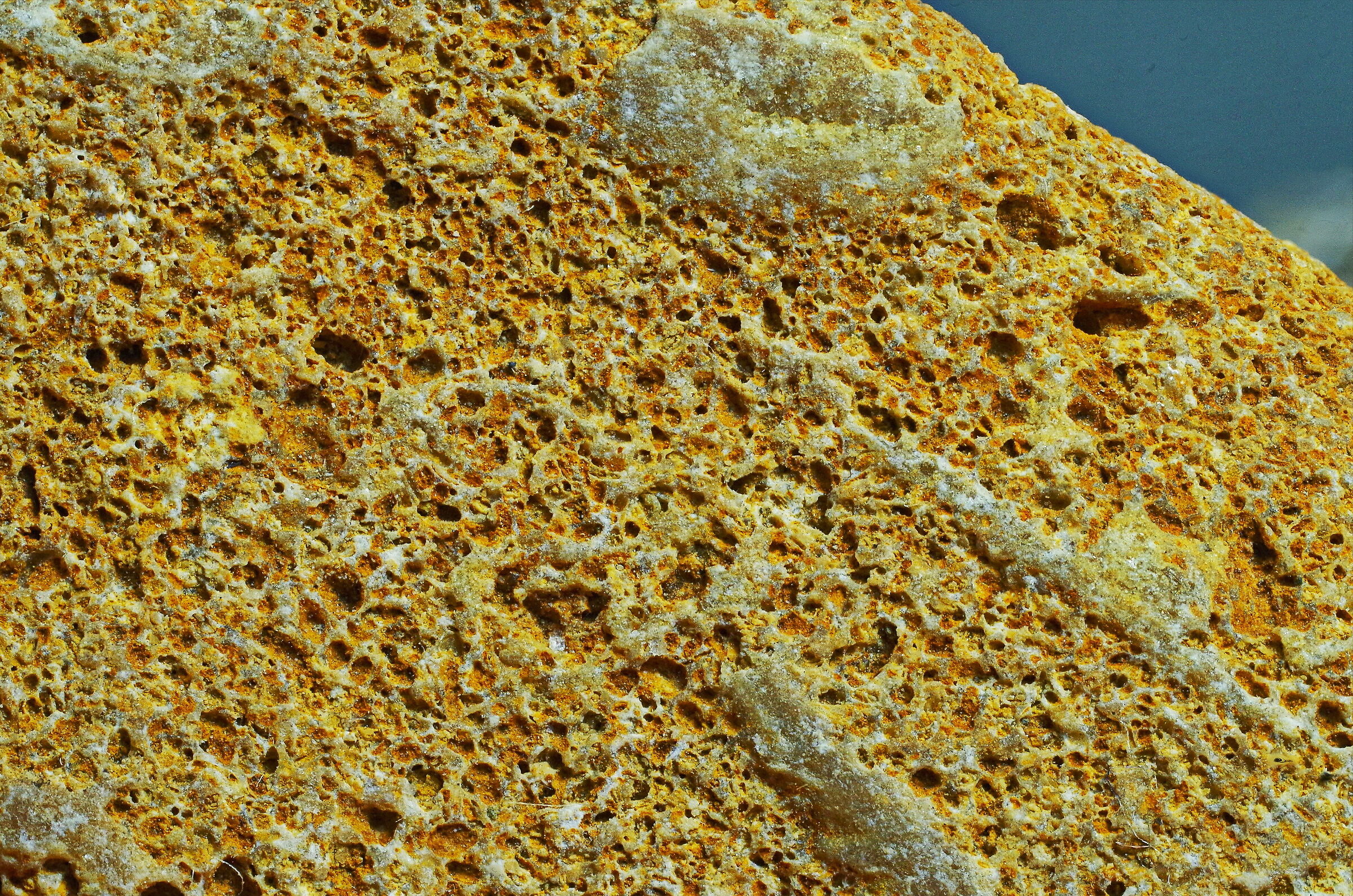 Fragment of sedimentary rock