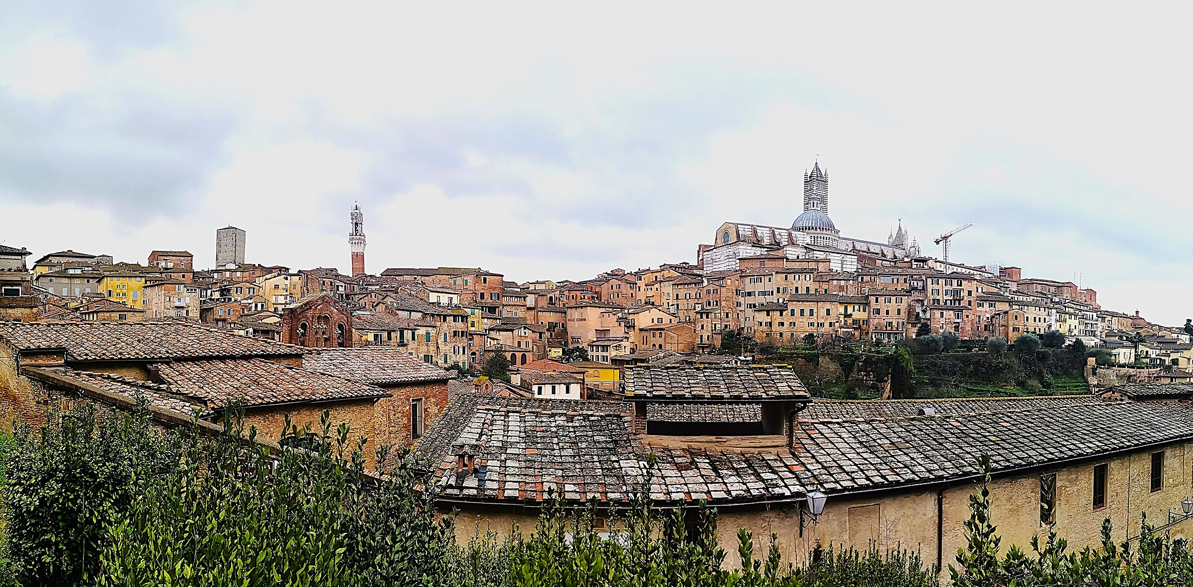 From above the roofs of Siena - 1 -