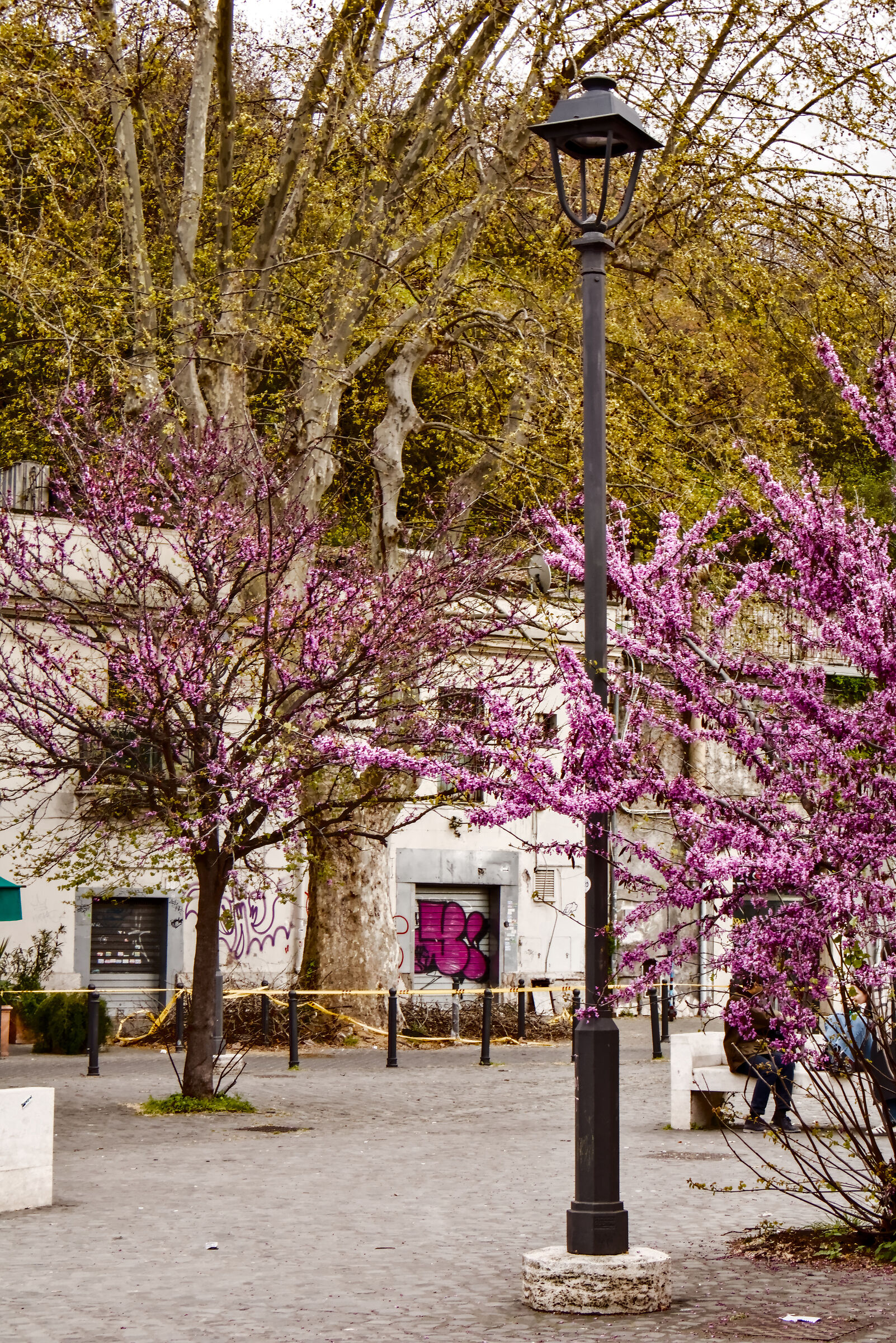 piazza Orazio Giustiniani, 4