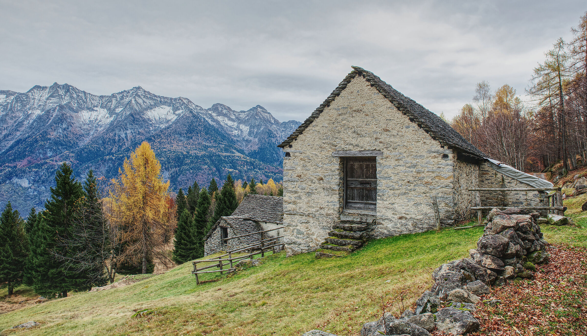 Val d'Ossola-the mountain pastures above Crodo