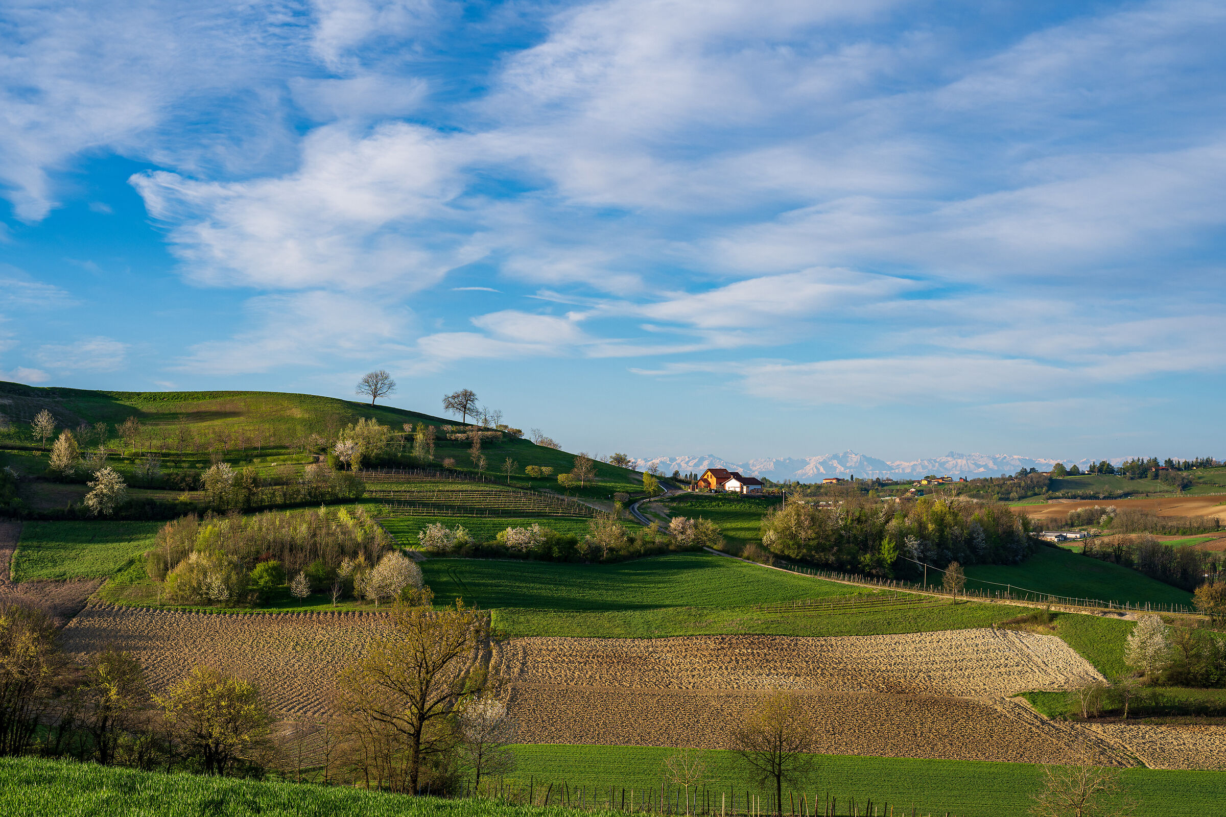 Turin hills