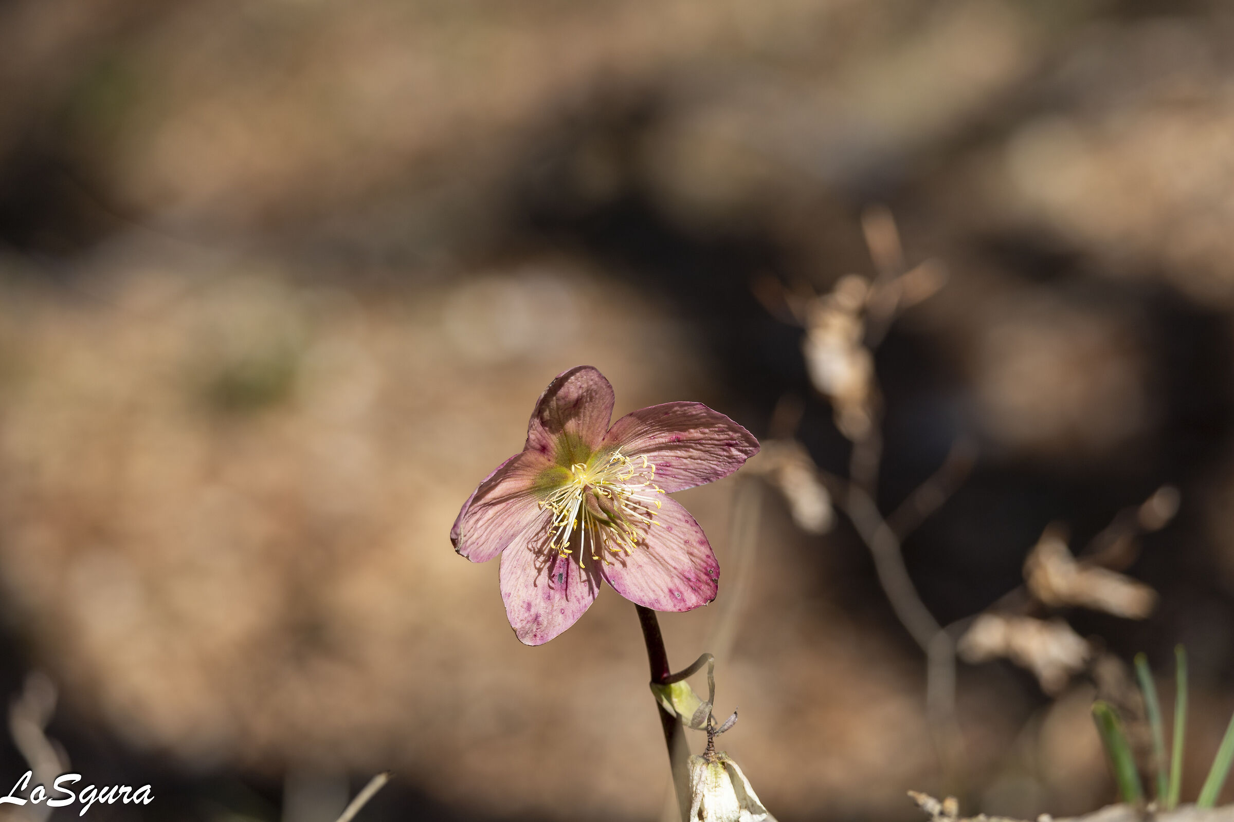 Untitled Photo