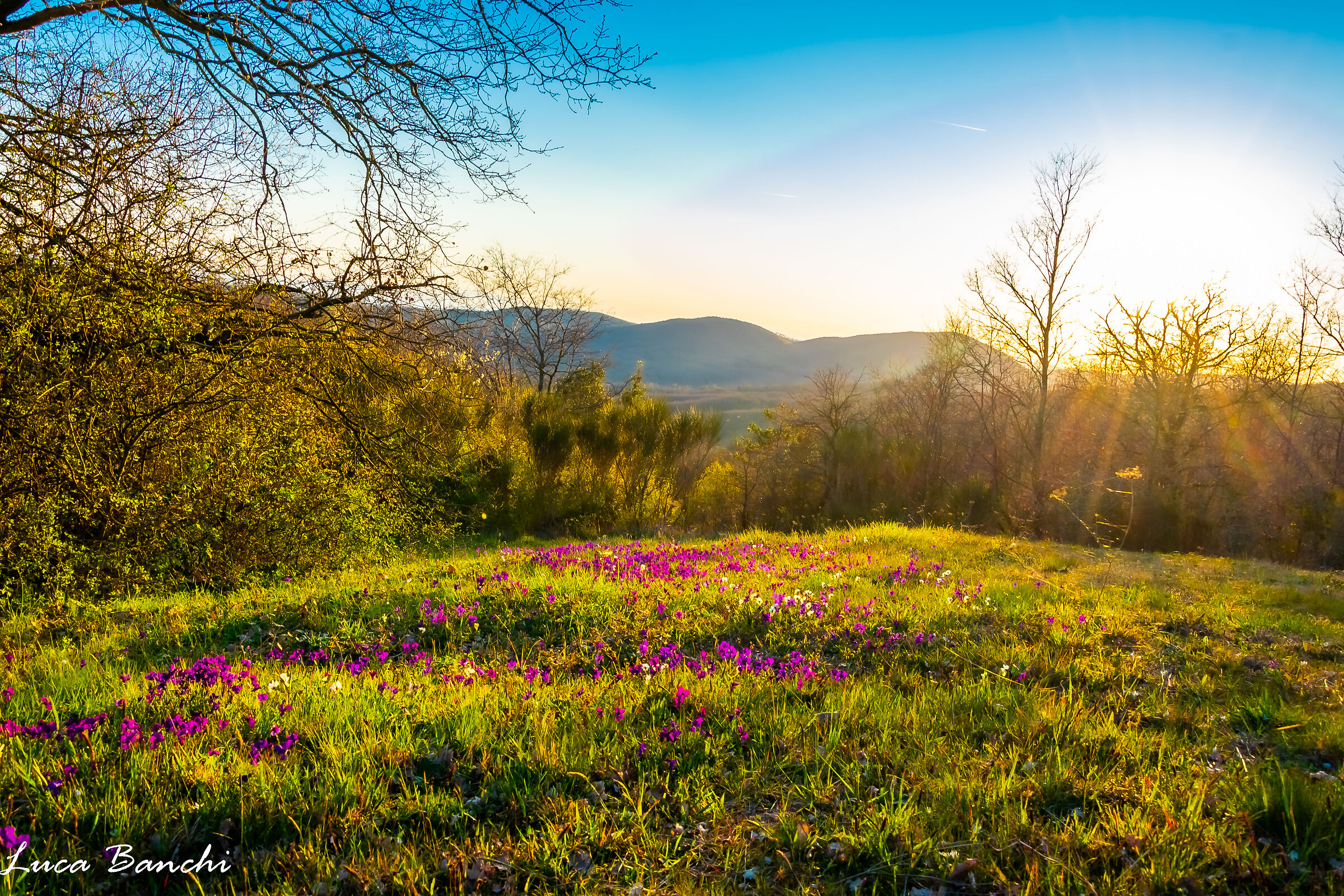 Spring