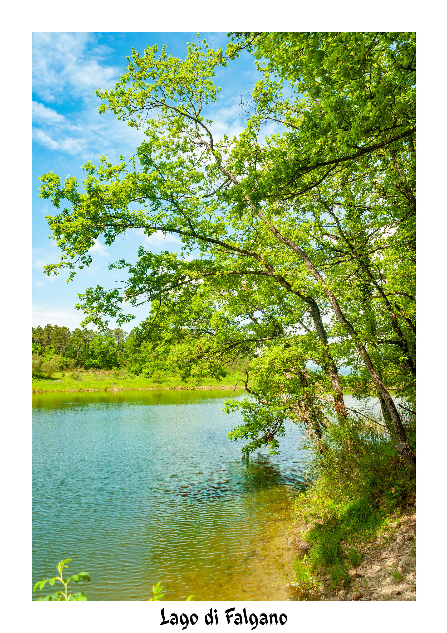 la tranquillità