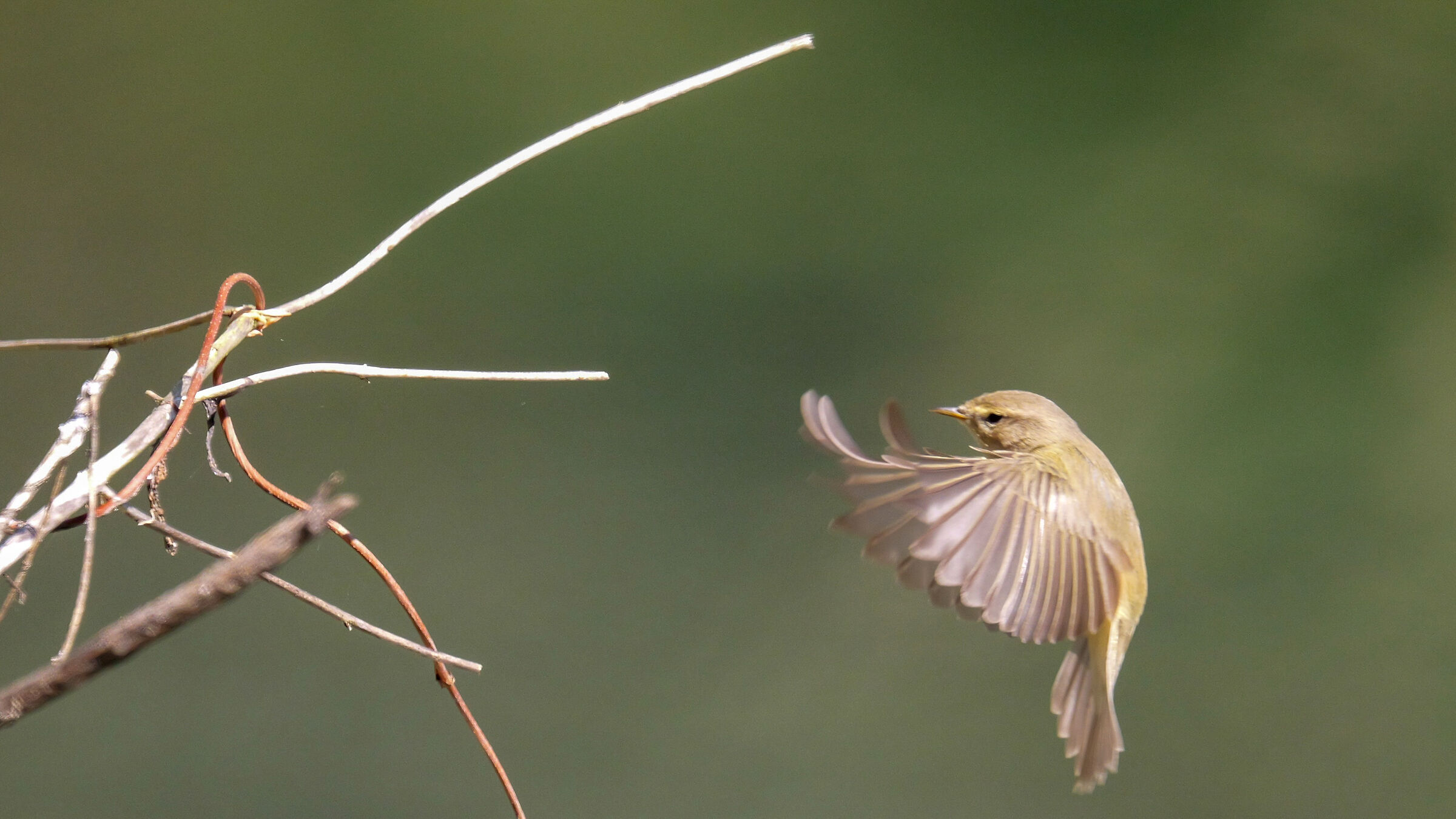 Prepare for landing 2