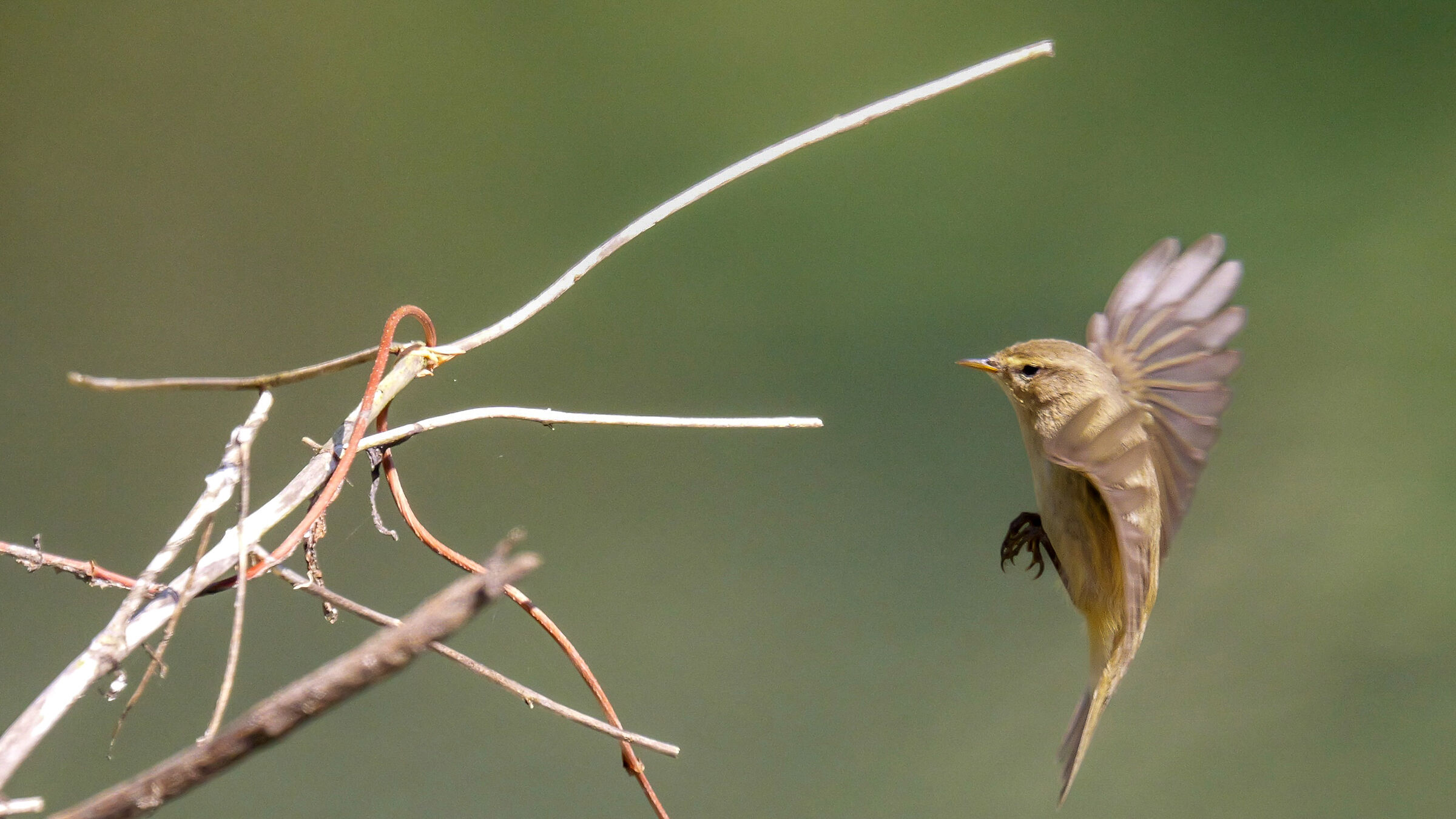 Prepare for landing 3