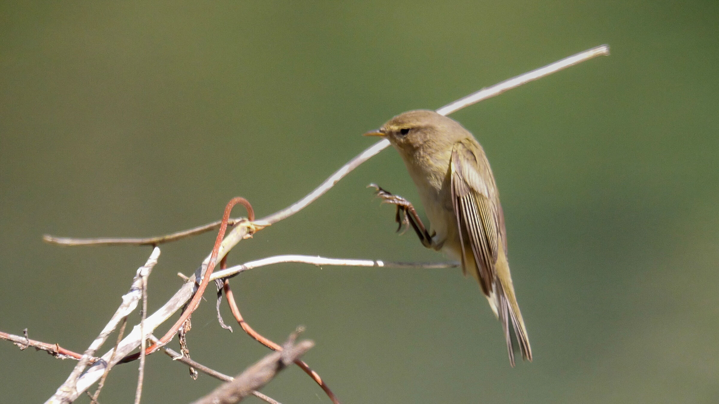 Prepare for landing 4