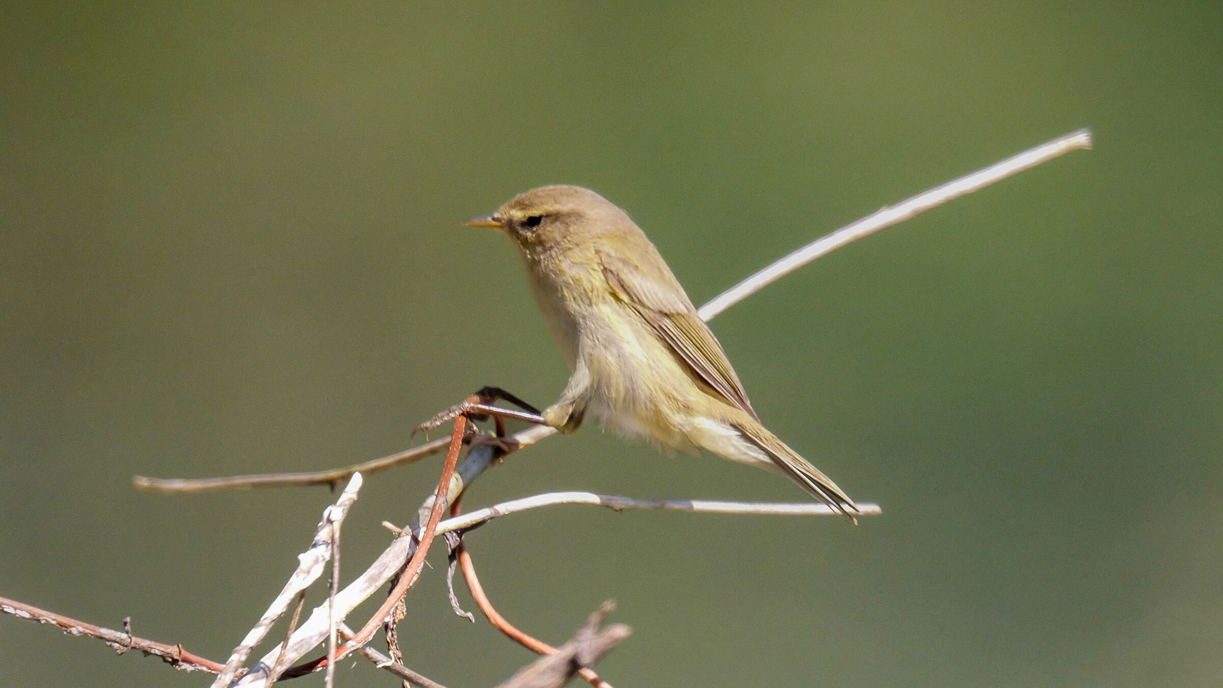 Prepare for landing 5