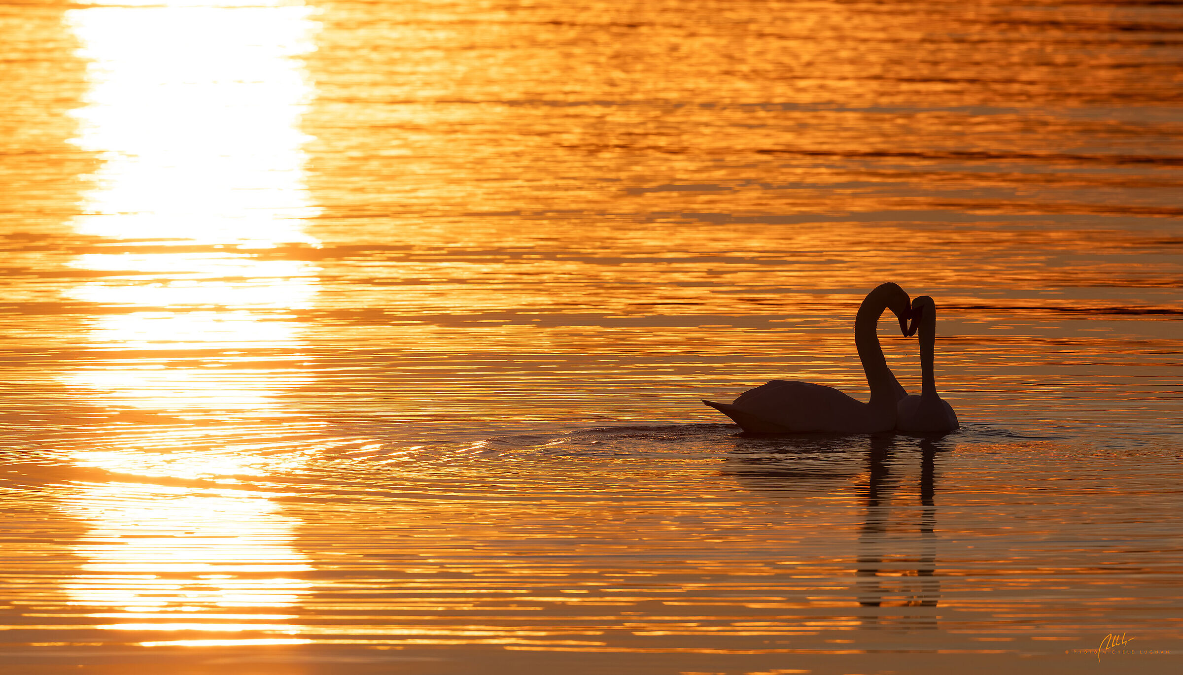into the gold