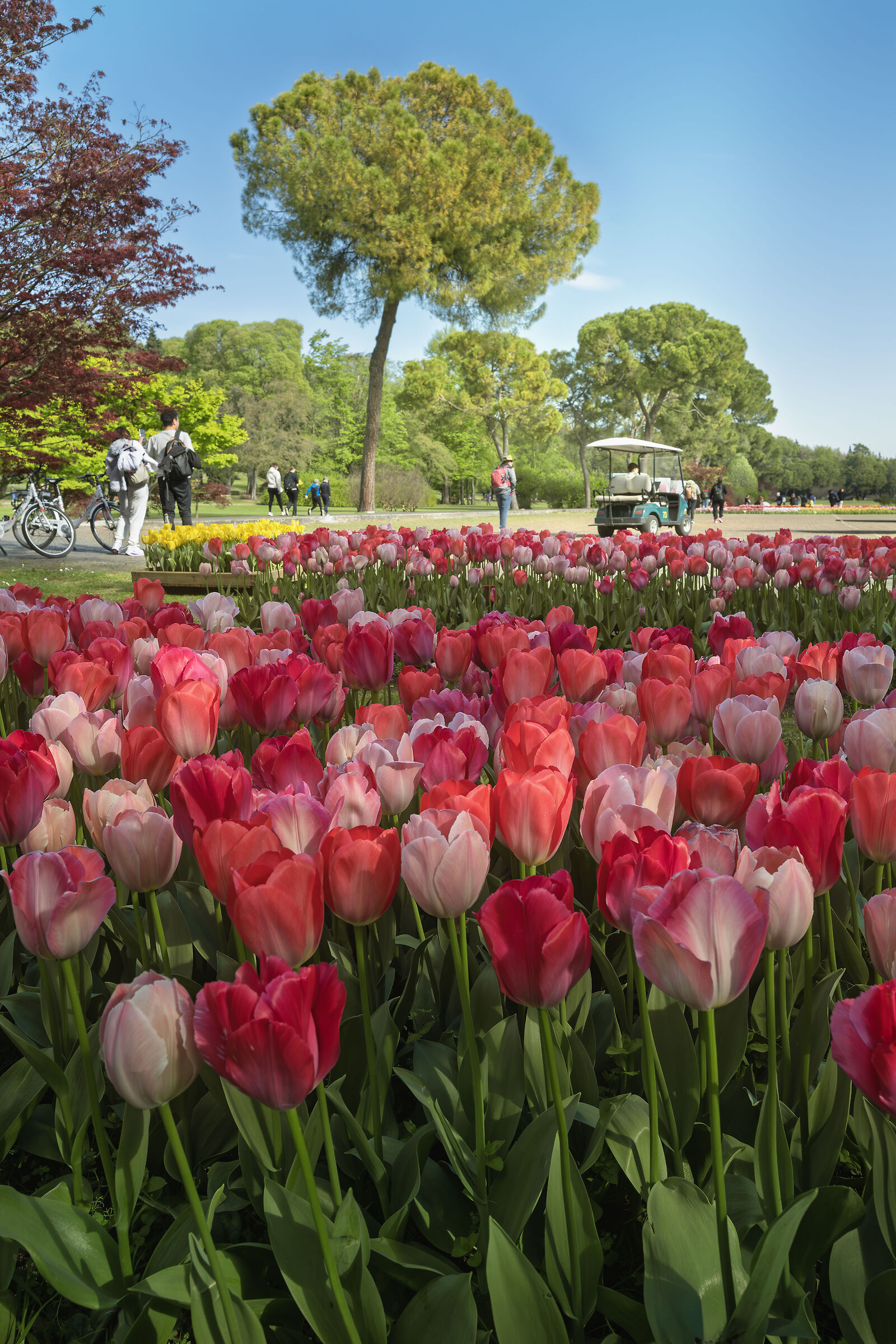 Sigurtà Garden Park, Valeggio sul Mincio