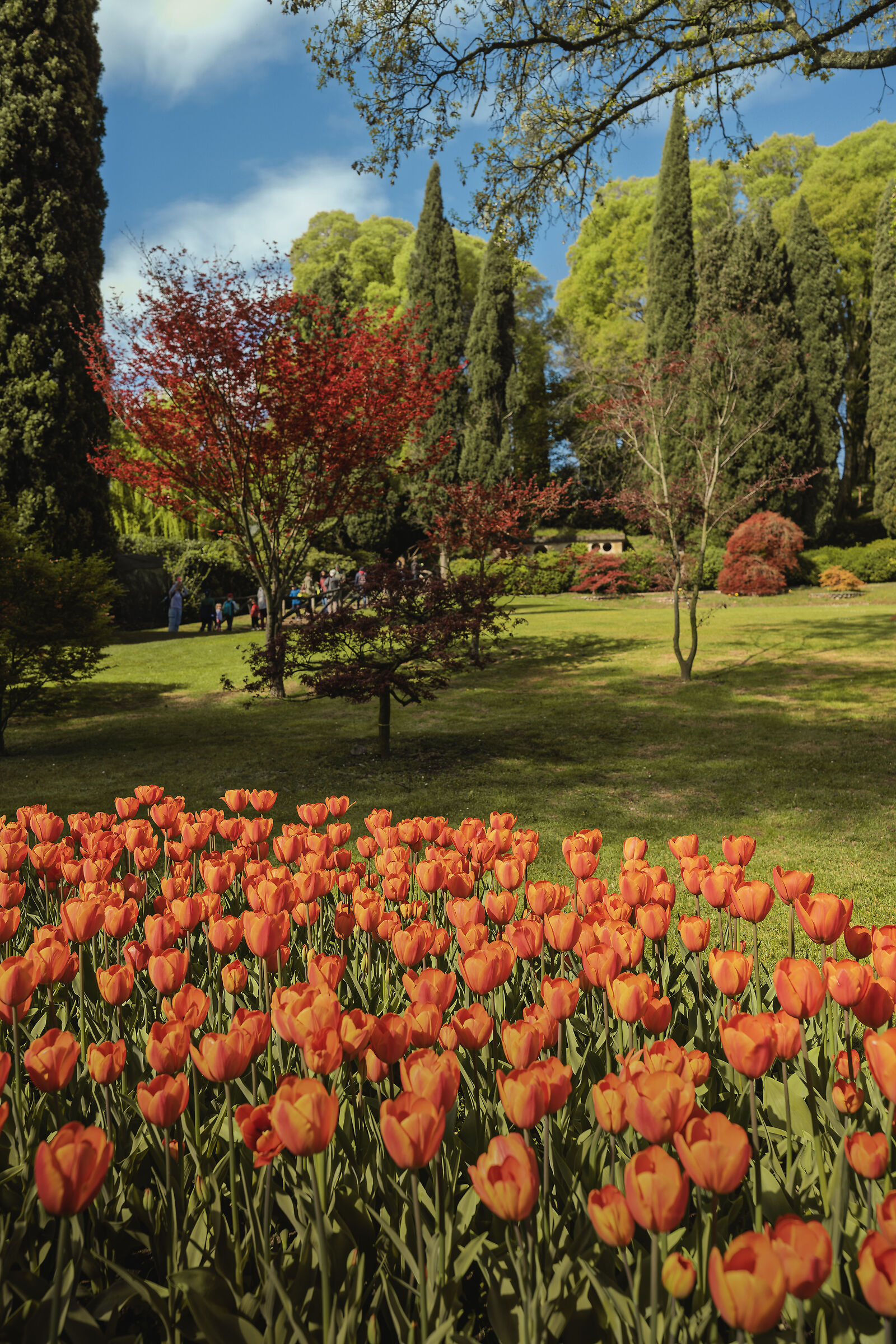 Sigurtà Garden Park, Valeggio sul Mincio