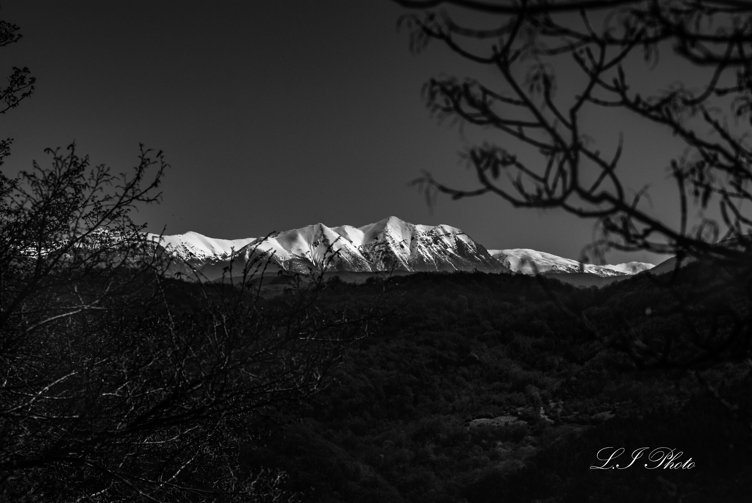 Untitled Photo