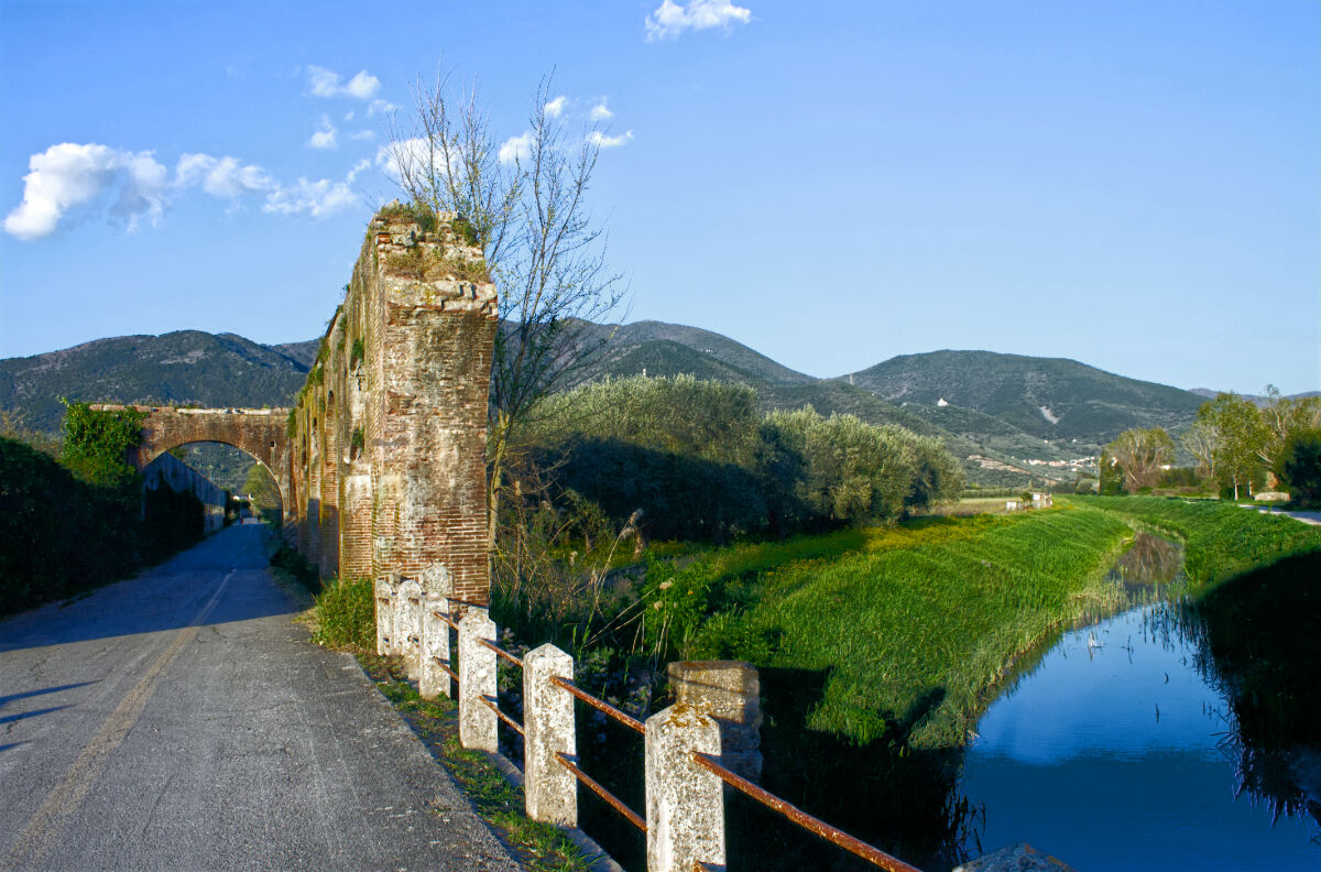 contrasti