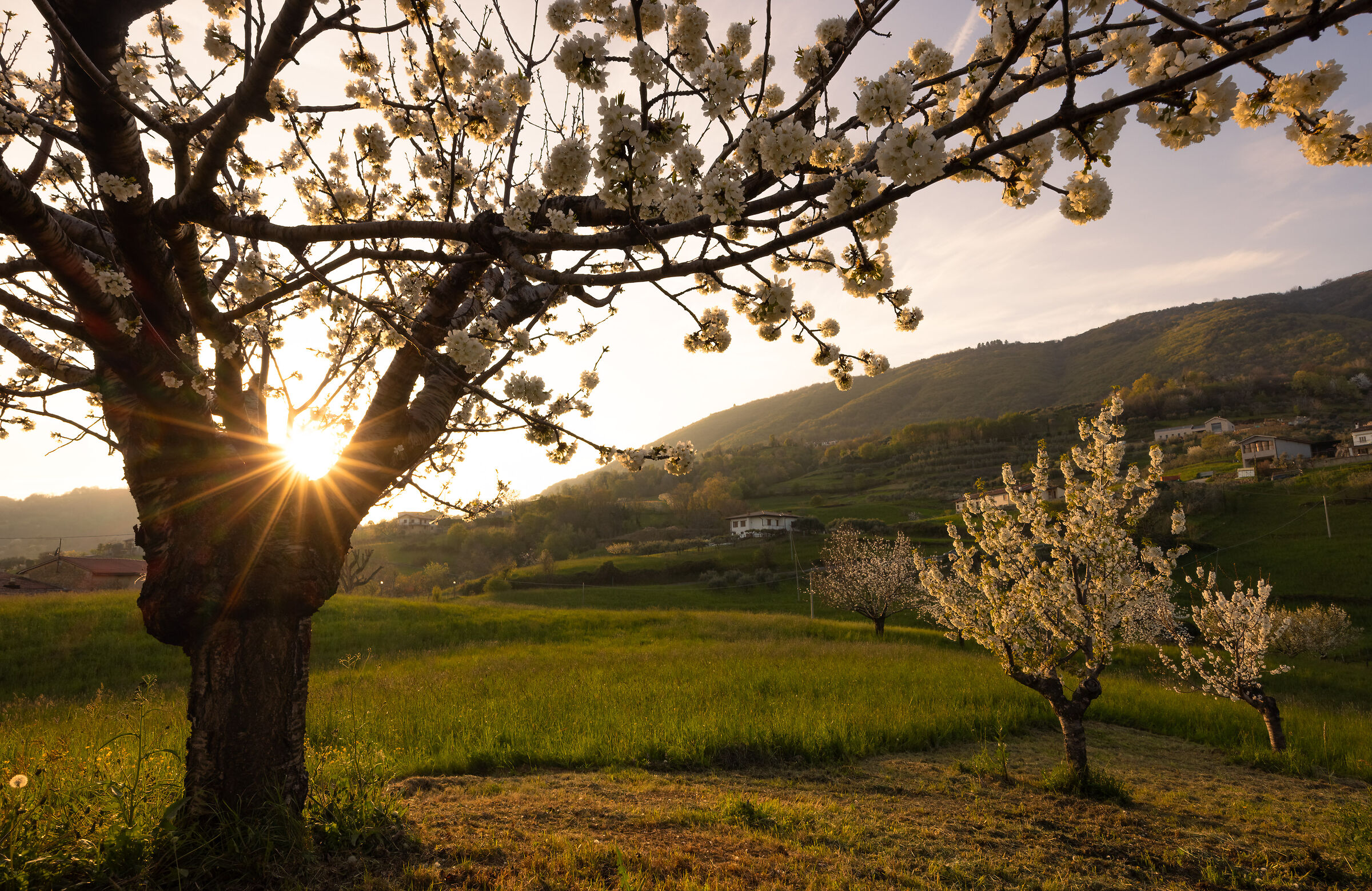 Spring is coming
