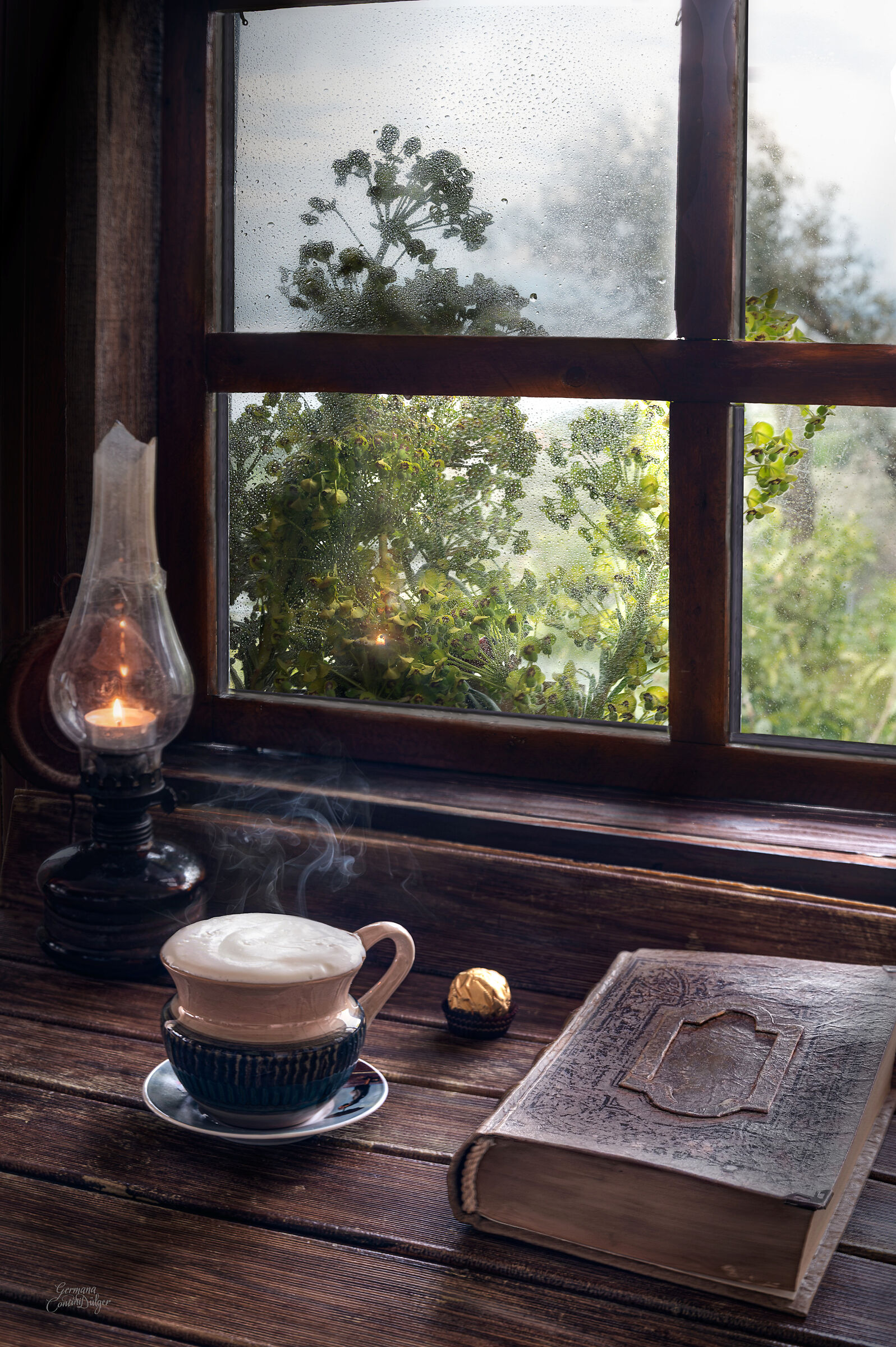 Gloomy day from the window