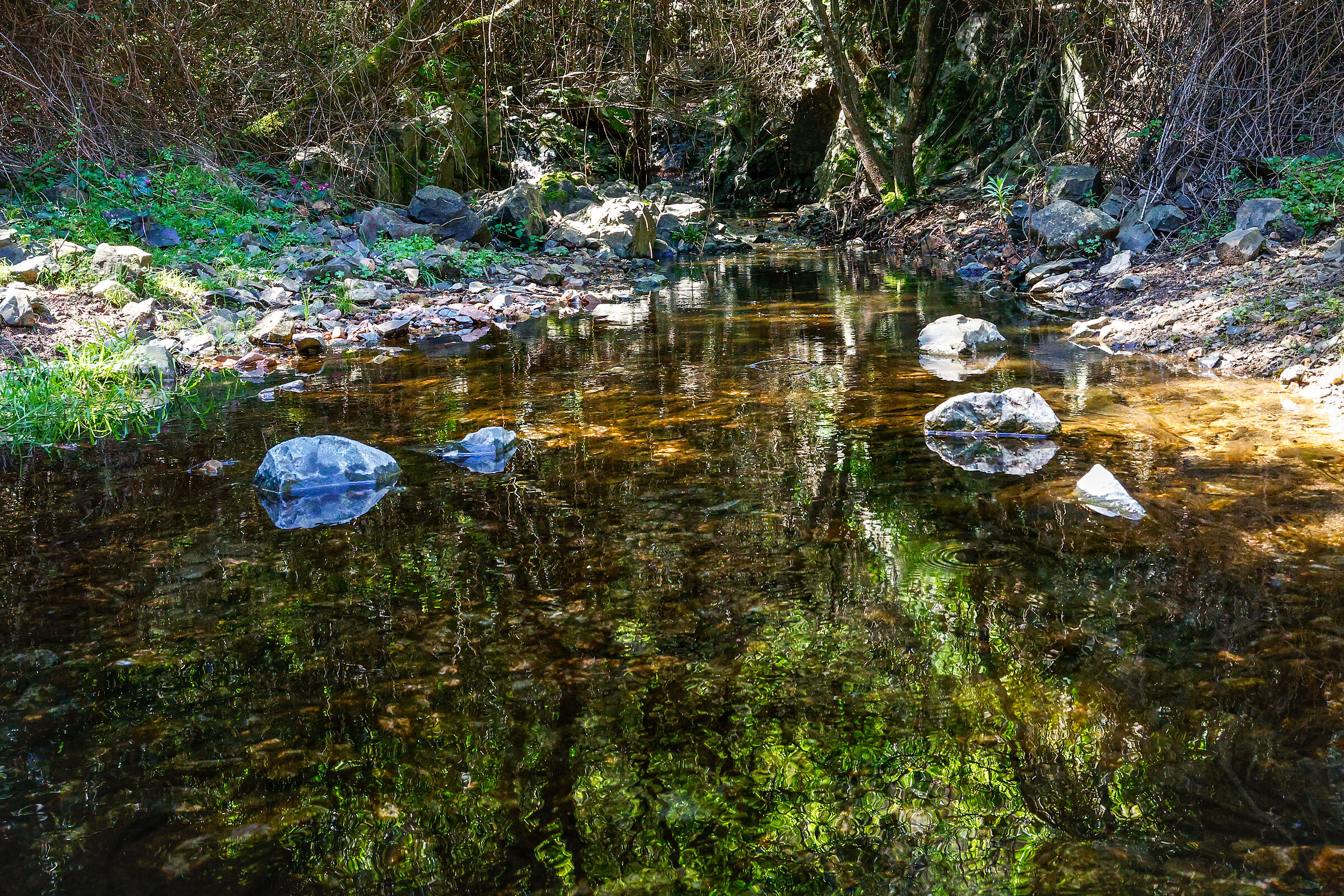 Rio Brabaisu-Burcei (CA)