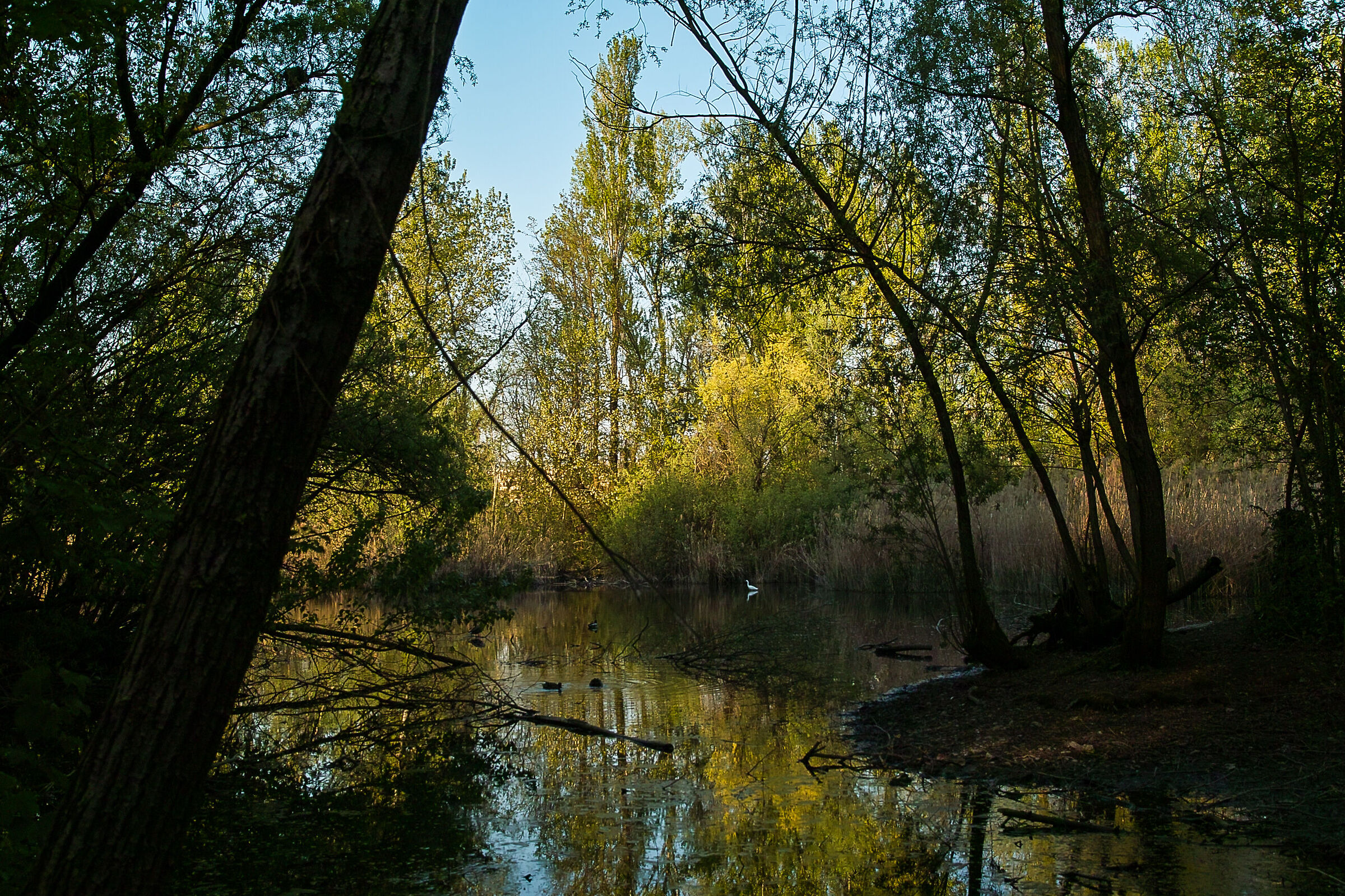 Parco delle cave