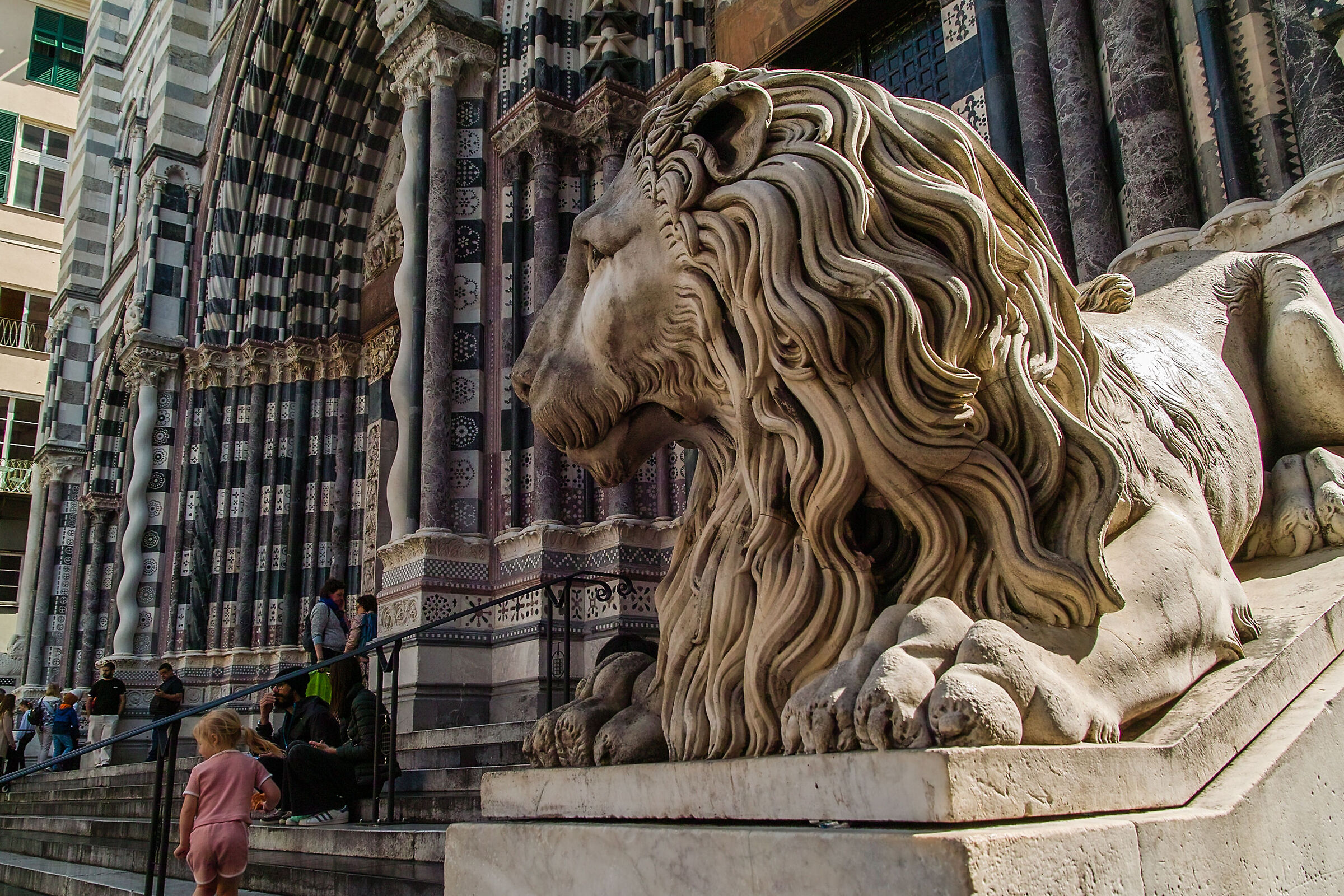 Il leone e la bimba