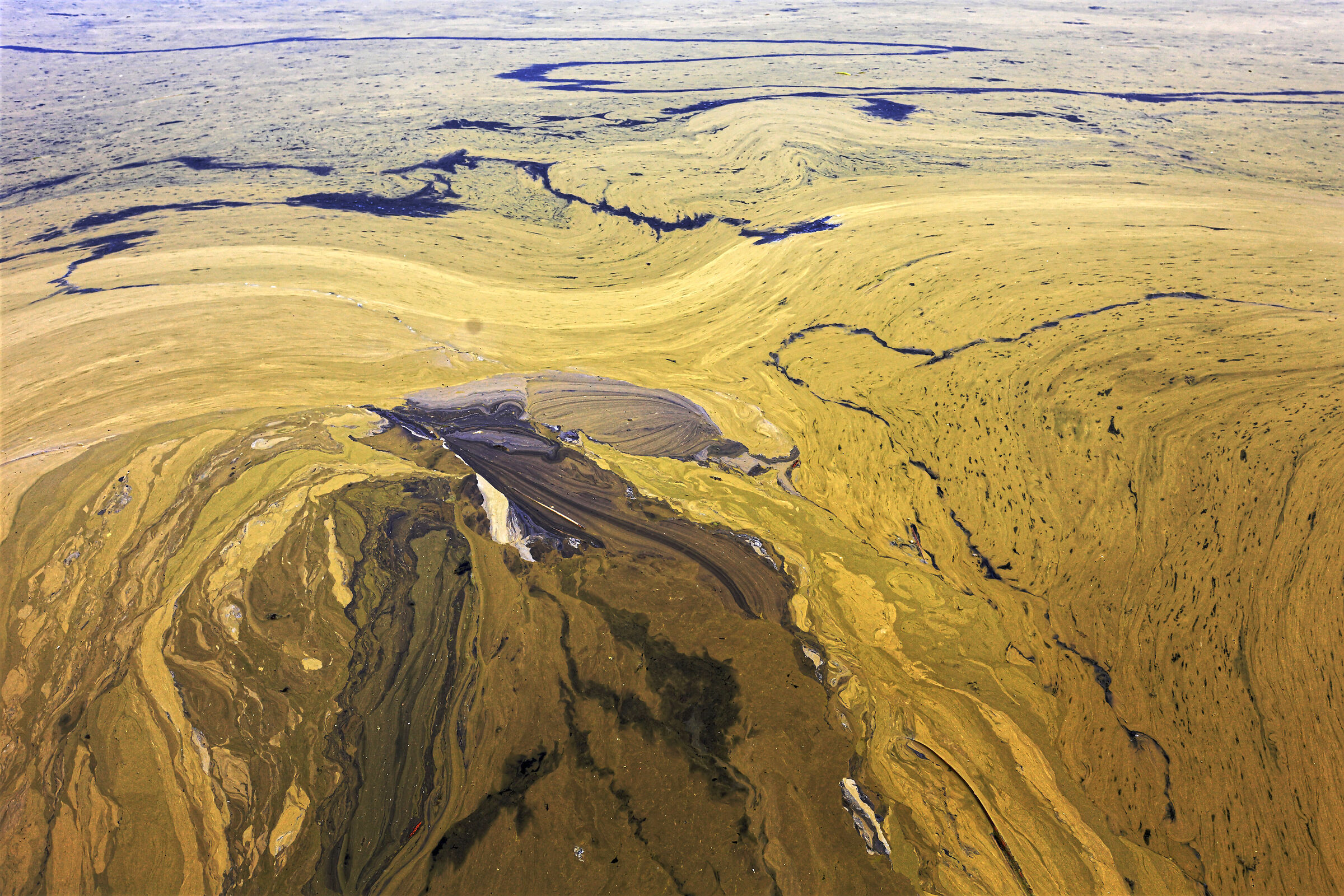 Geometries in the swamp