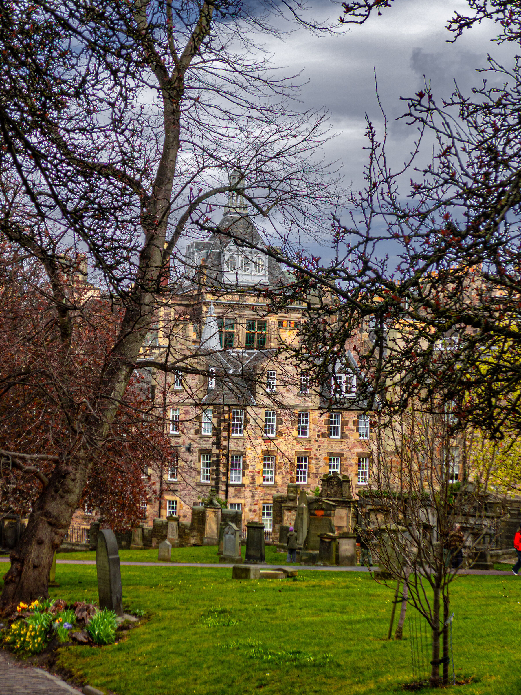 Spring garden