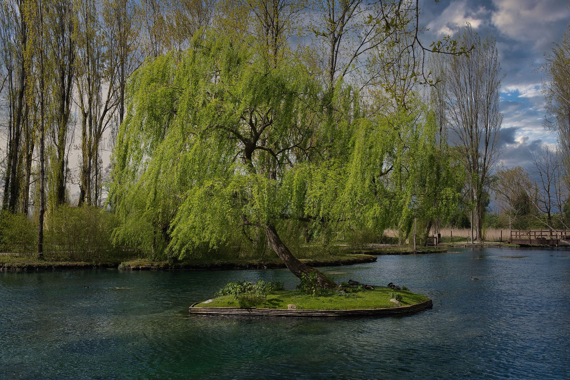 Willow Island