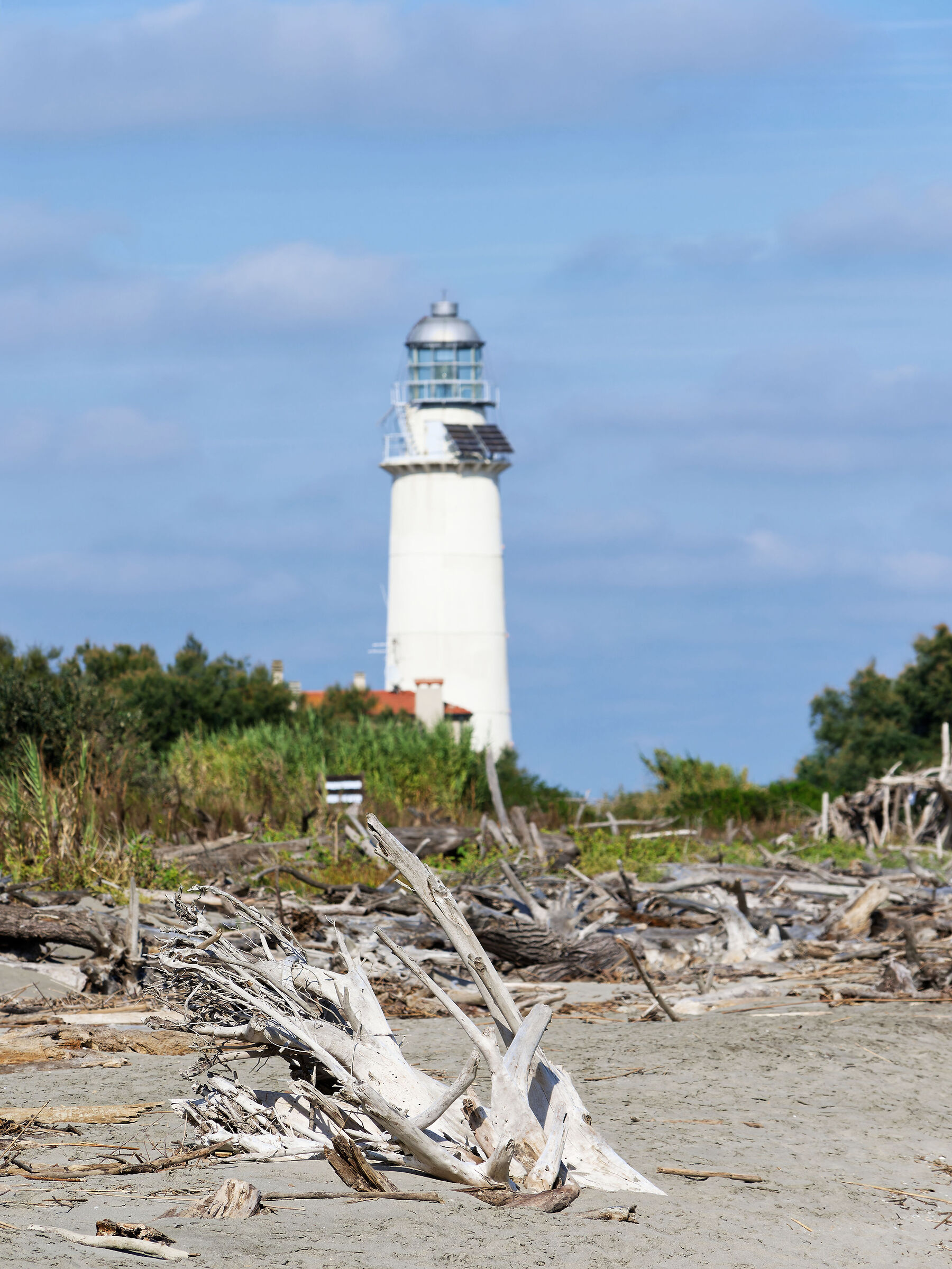 polished and stranded logs at the Goro lighthouse