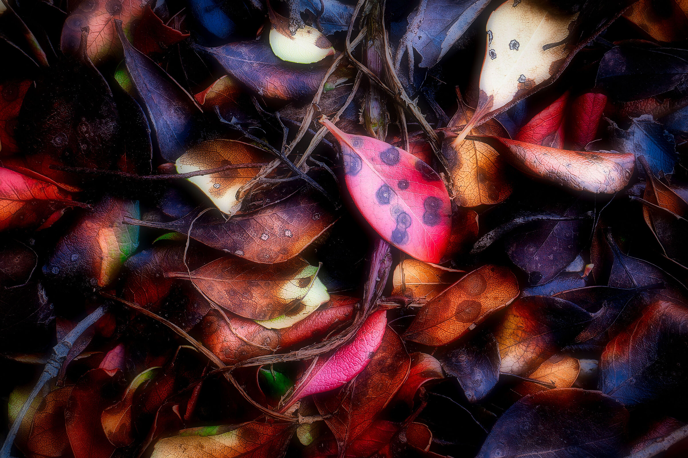 Autumn nostalgia