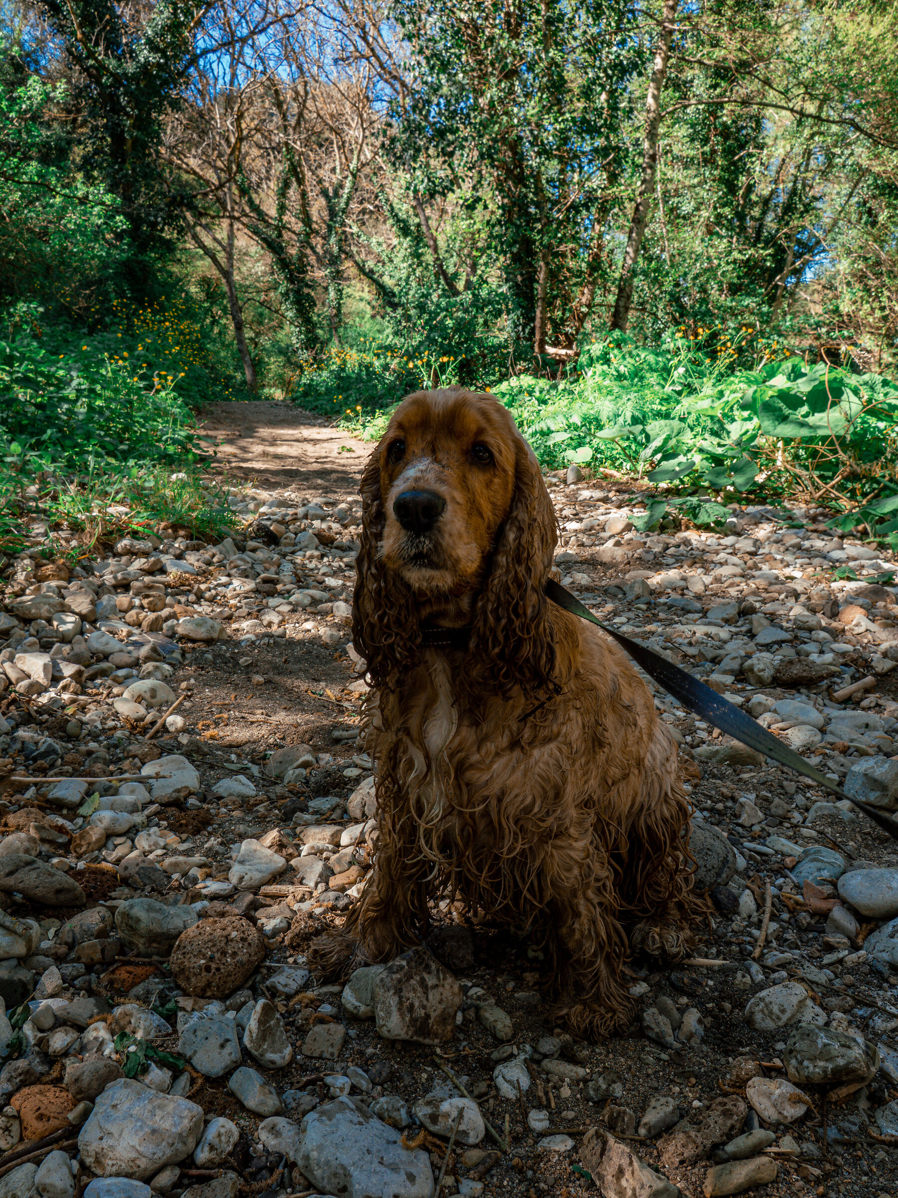 River seal