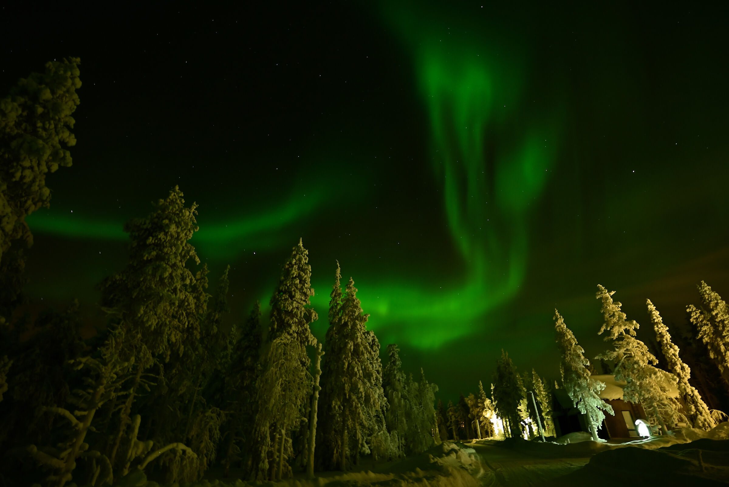 Aurora Keimiöniemi