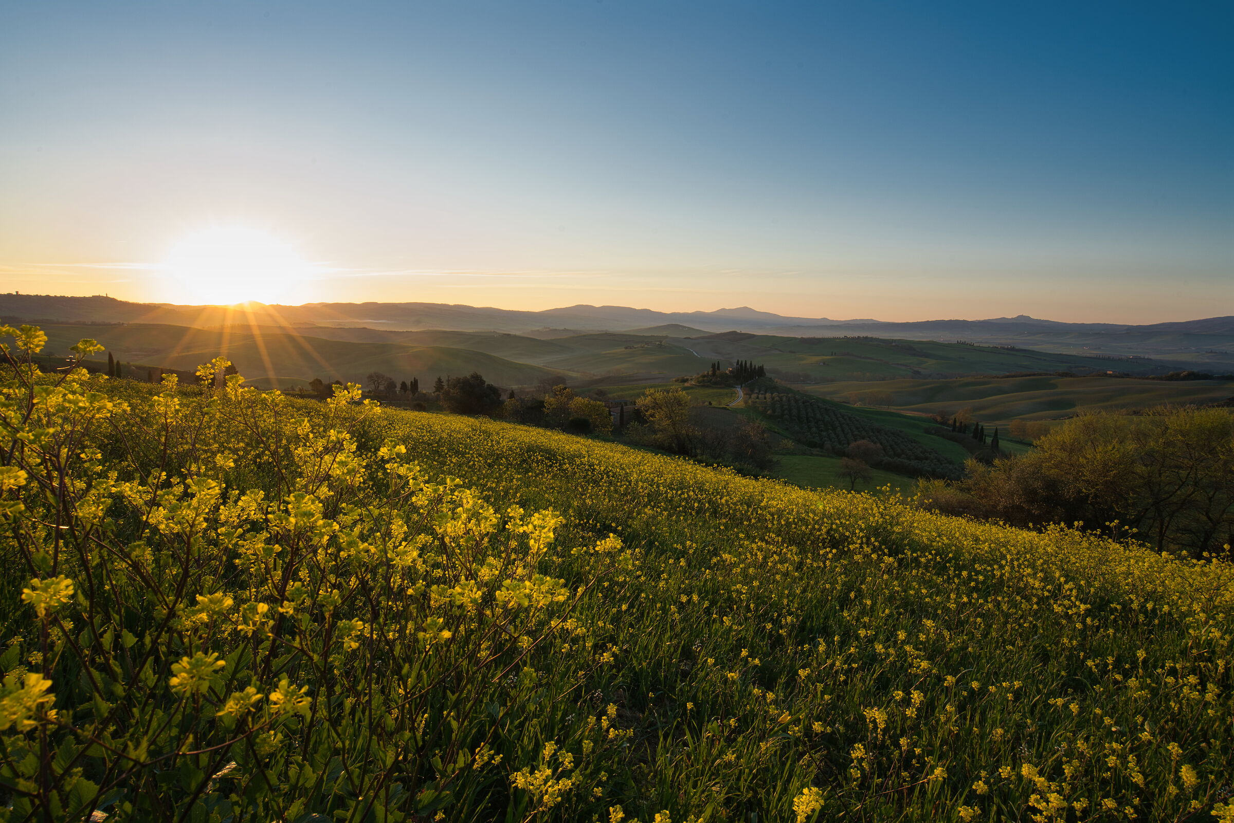 Val d'Orcia