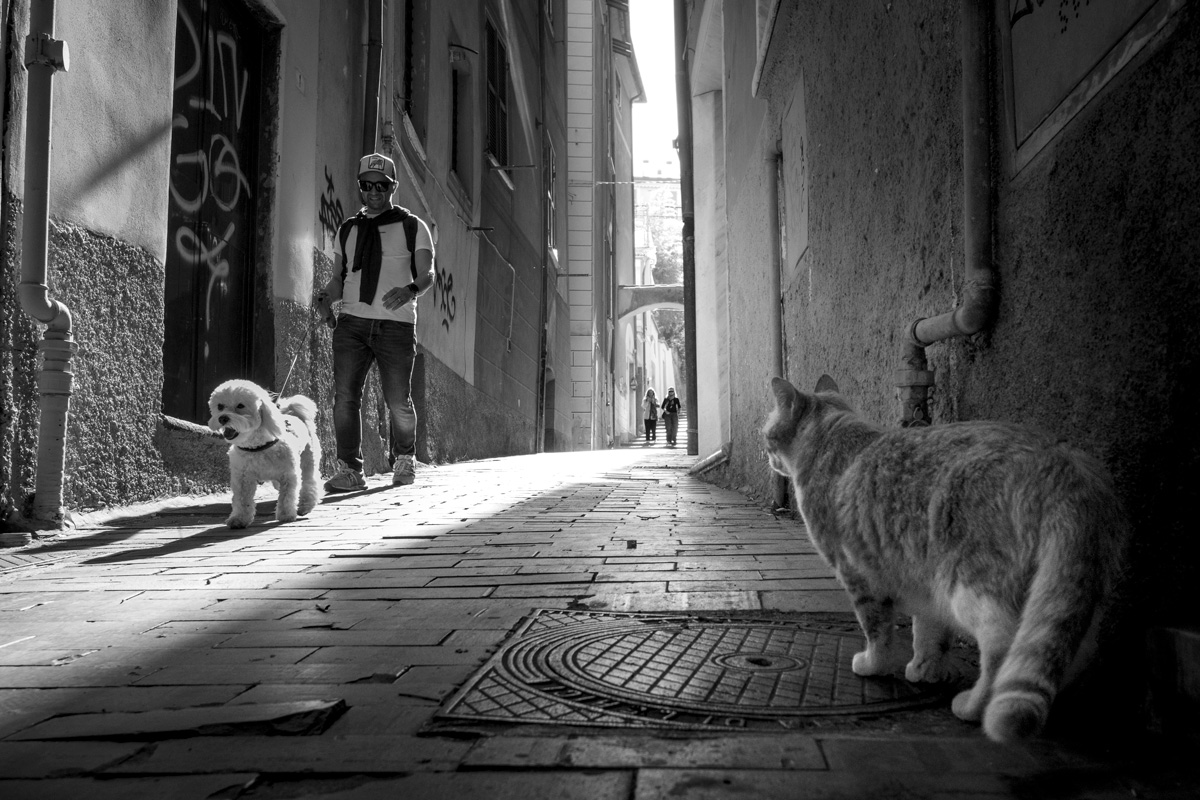 Il guardiano del vicolo