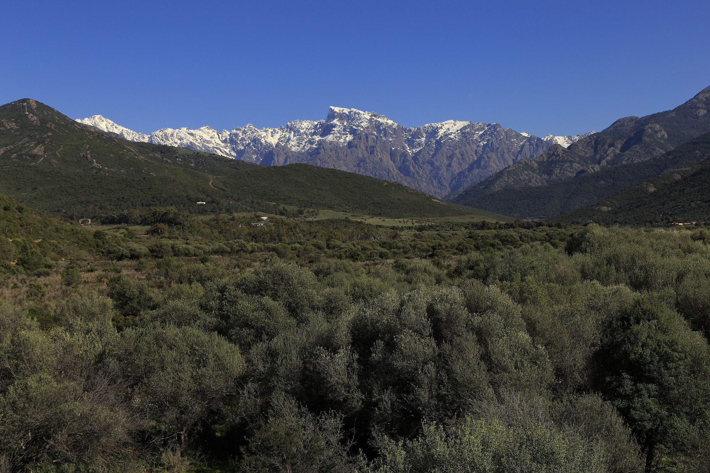 Landscape of western Corsica