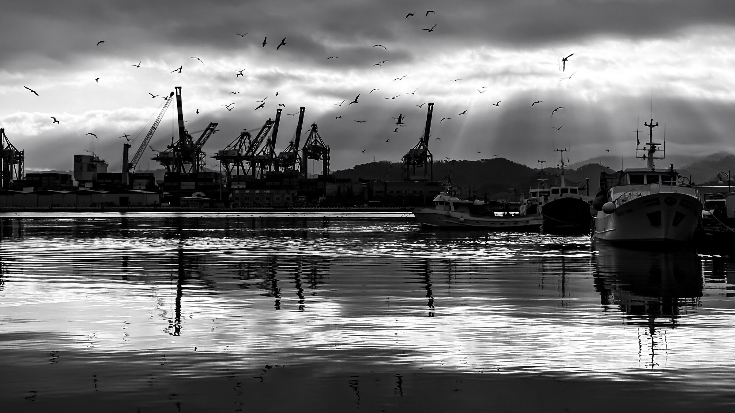 Untitled Photo