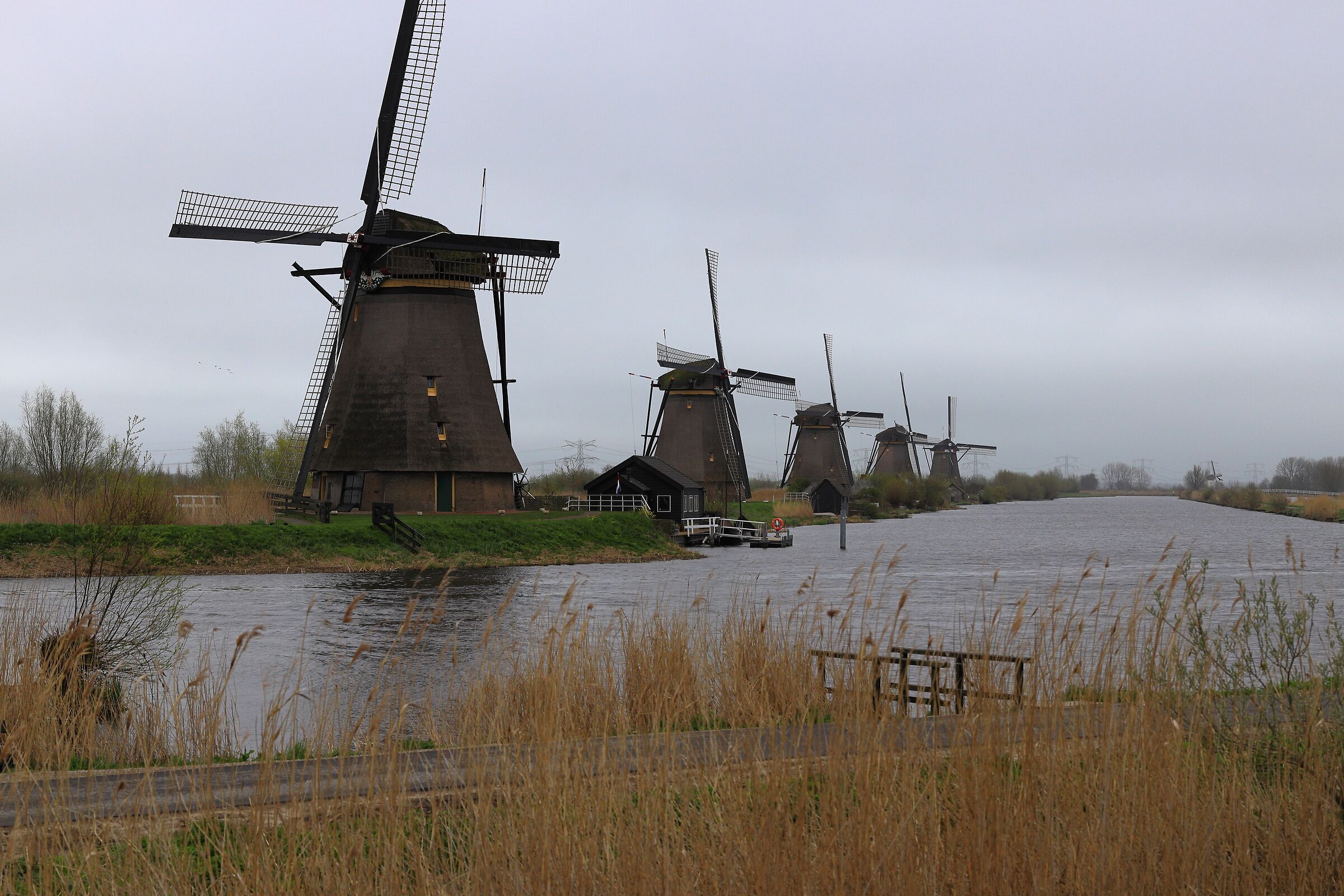 Kinderdijk Olanda del sud