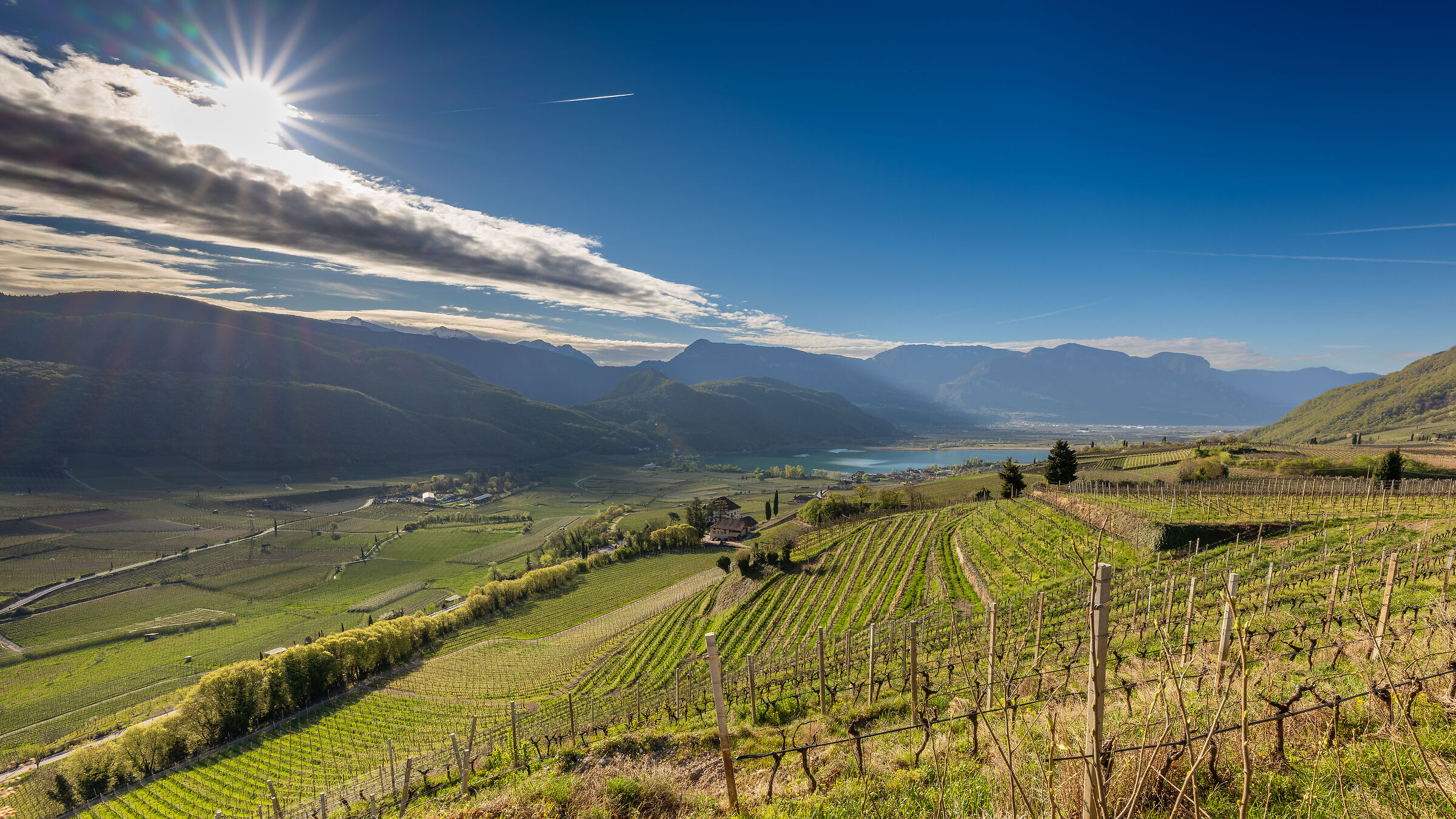 Along the wine route