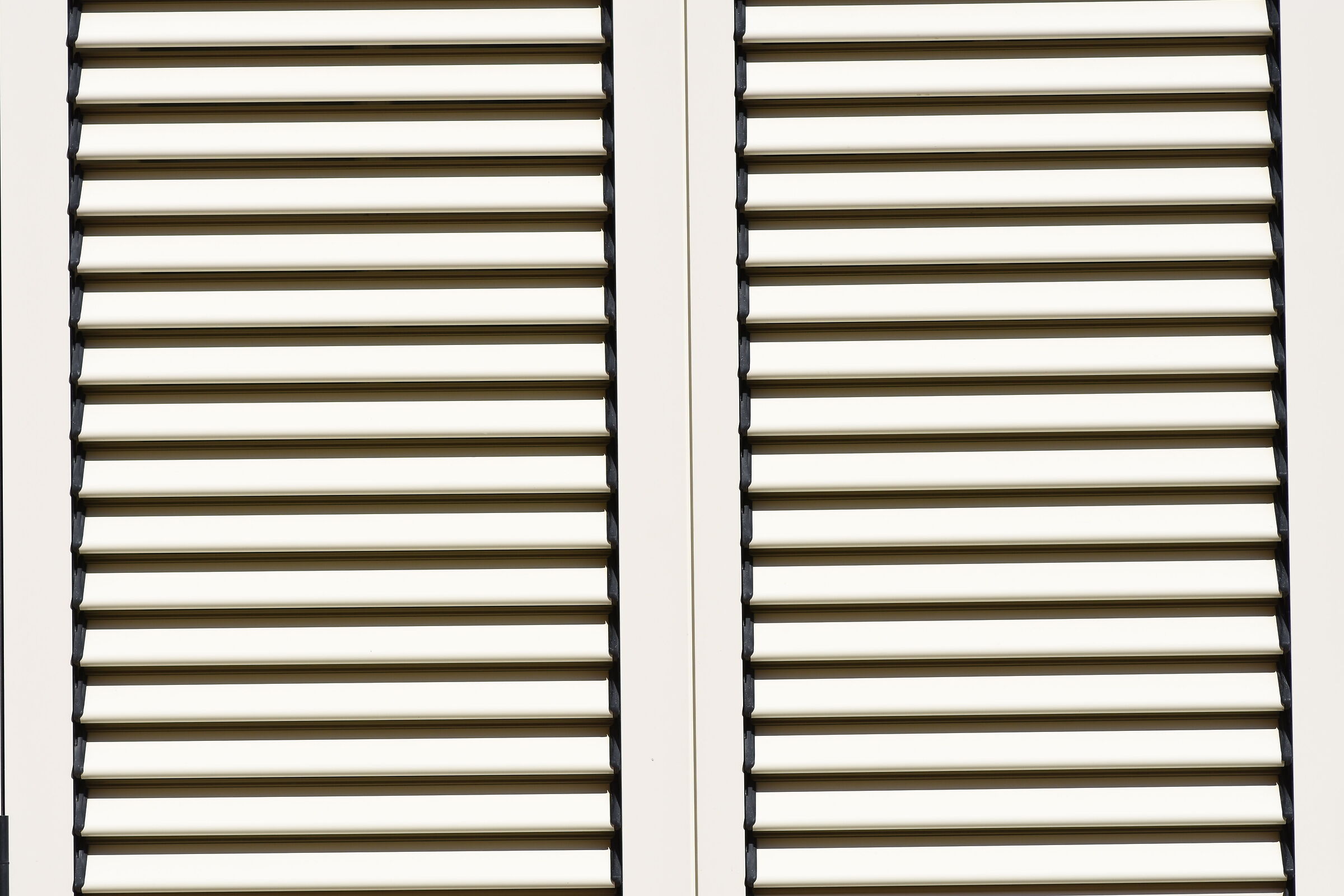 " Crop 150, 1/8 Thousand " Tokina 100 F. 2.8- Nikon D 7200