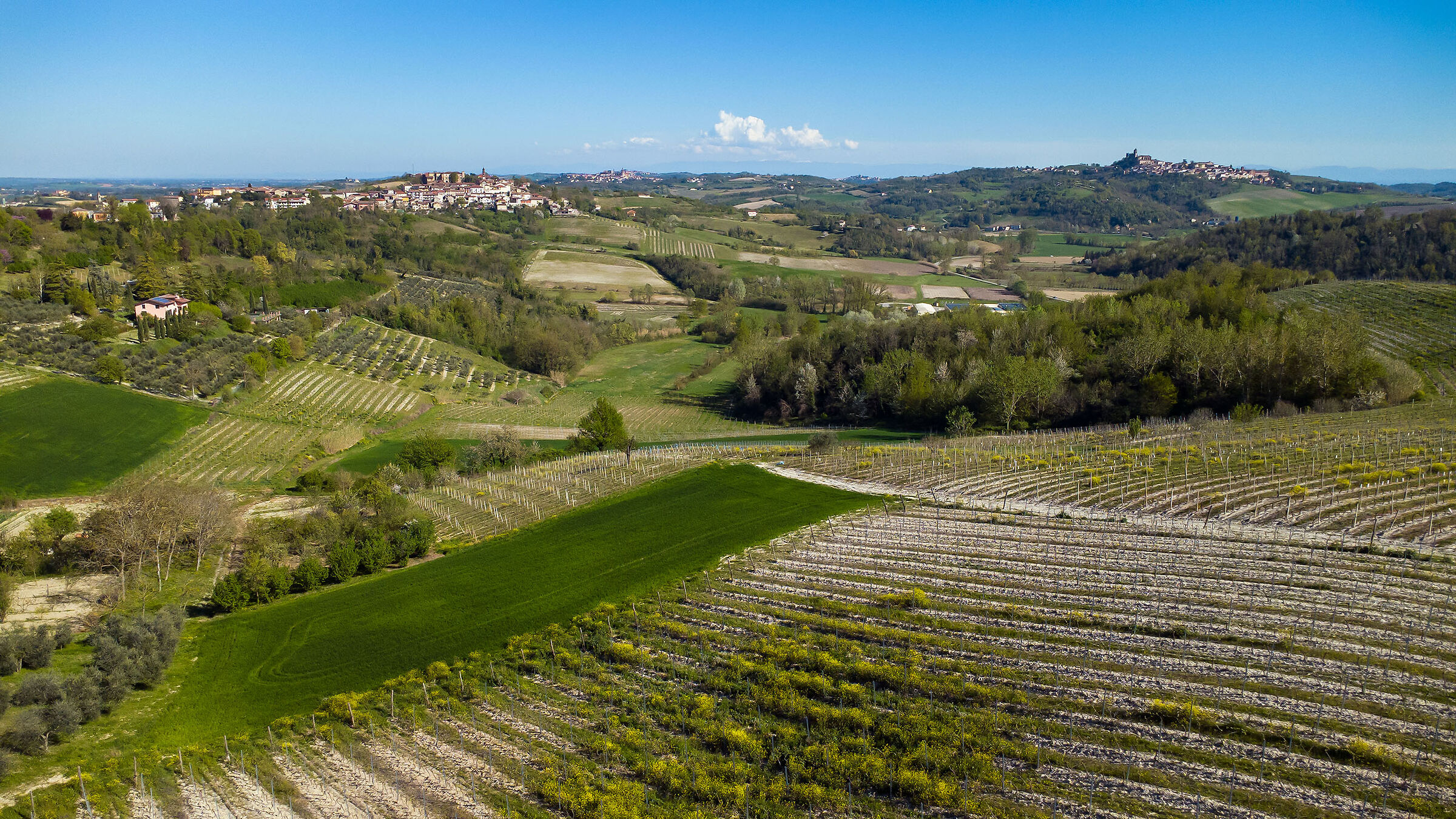 Monferrato